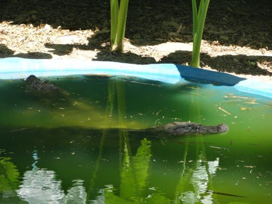 Parque Zoobotanico Getulio Vargas