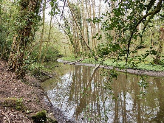 Brotherton Nature Park