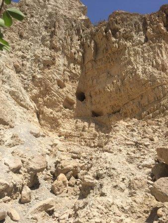 Nachal David Stream
