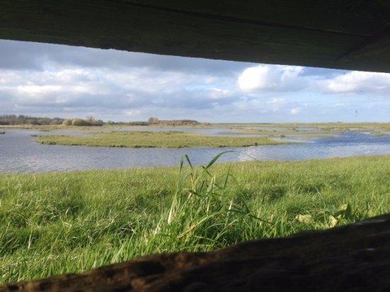 Domaine de Beauguillot