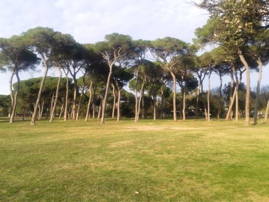 Parque de l'Hostal Del Fum