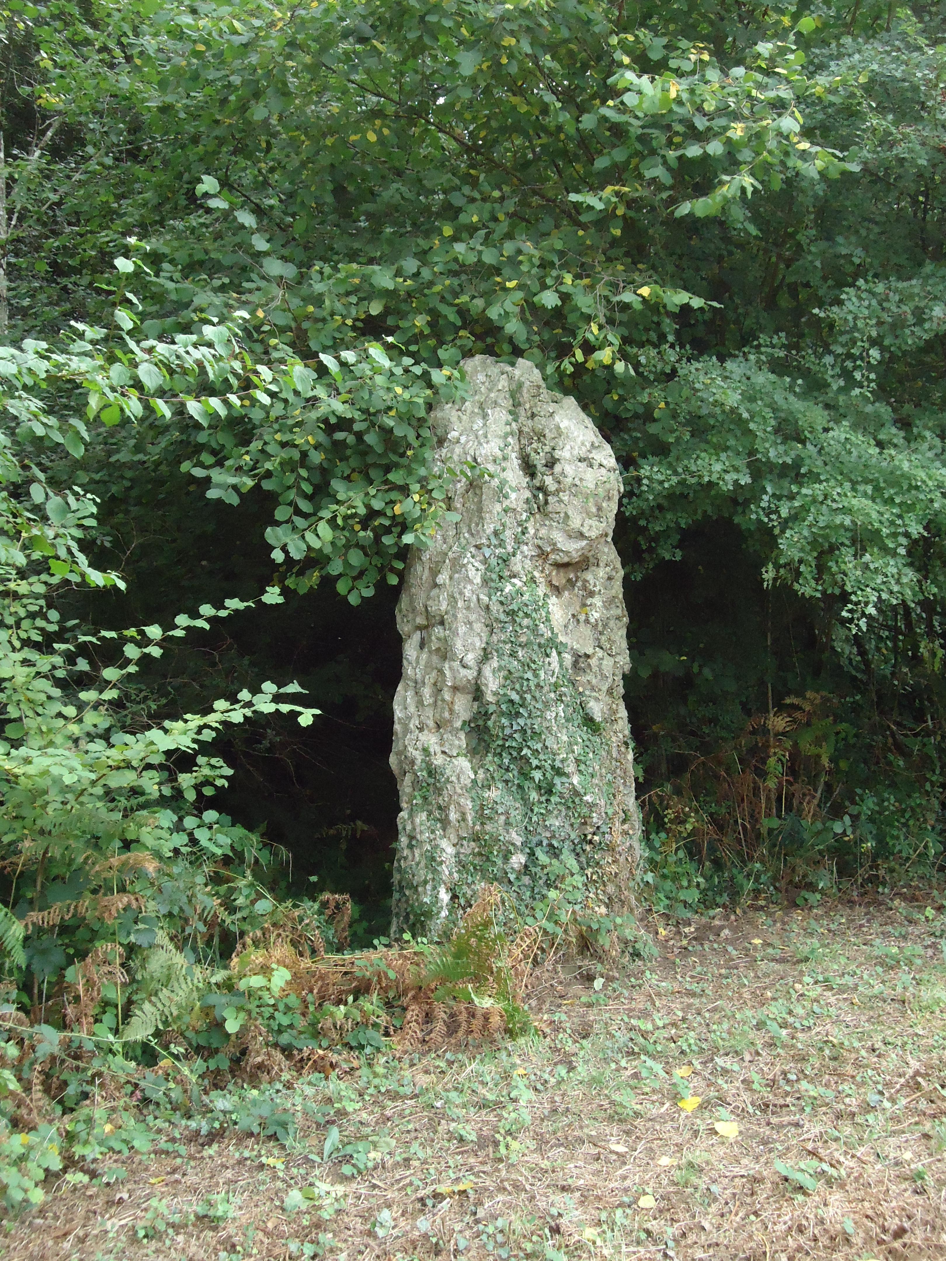 Menhir du Perray