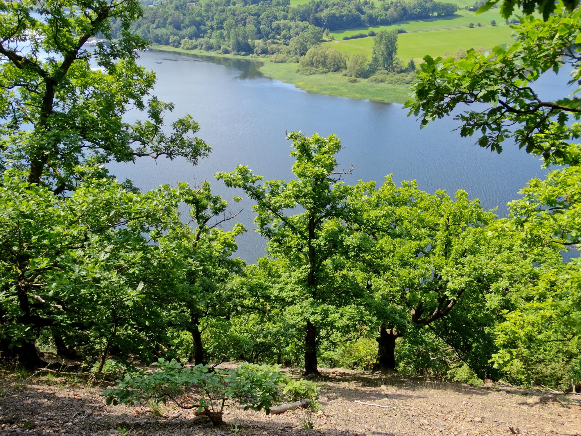 Kahle Haardt bei Scheid am Edersee