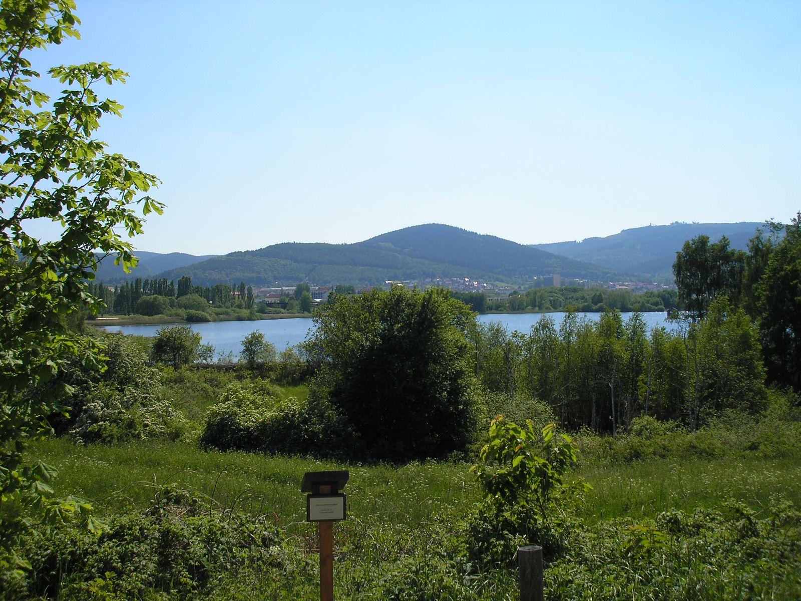 Ilmenauer Teichgebiet