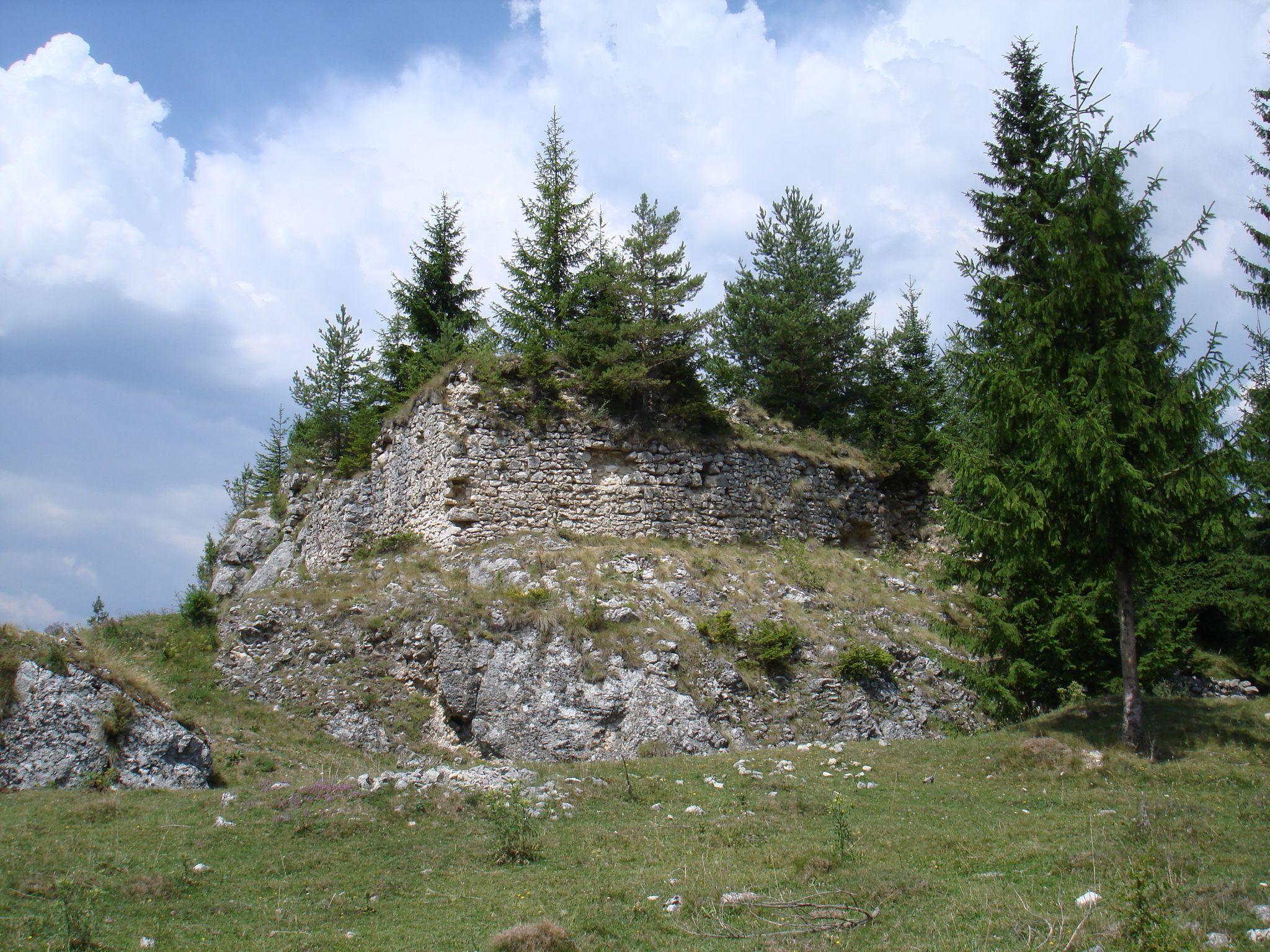 Cetatea Oratia