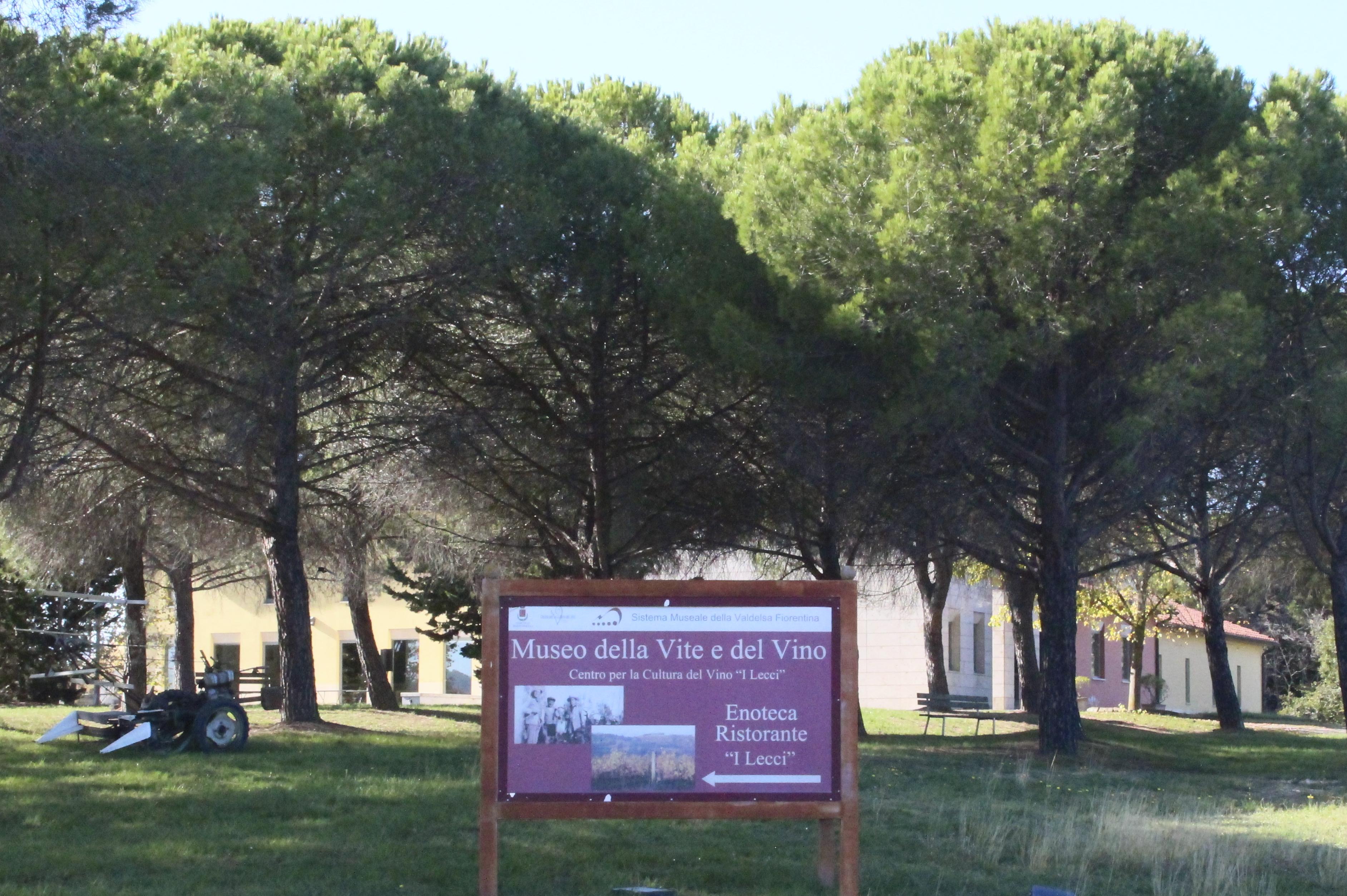 Museo della vite e del vino