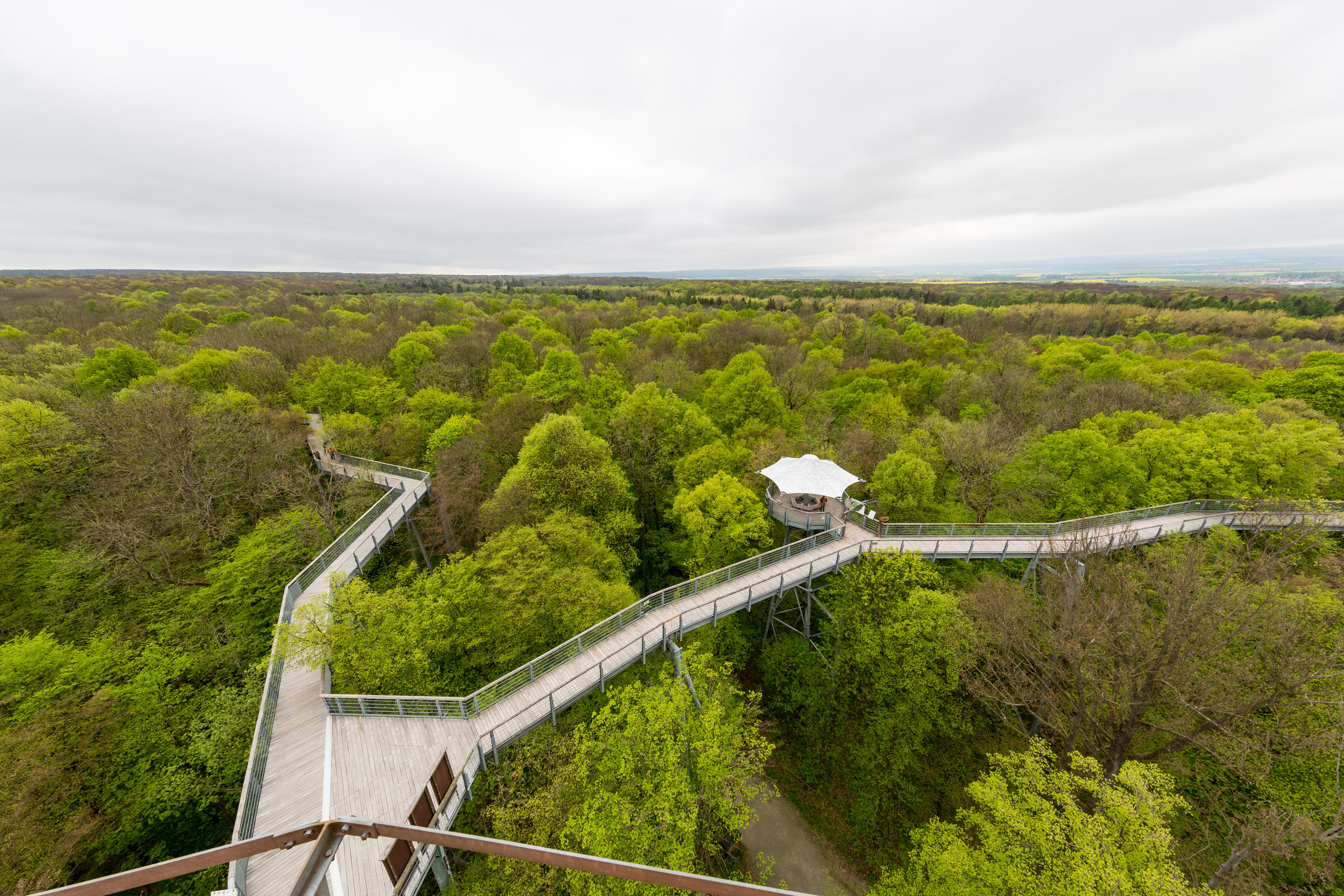 Nationalpark Hainich