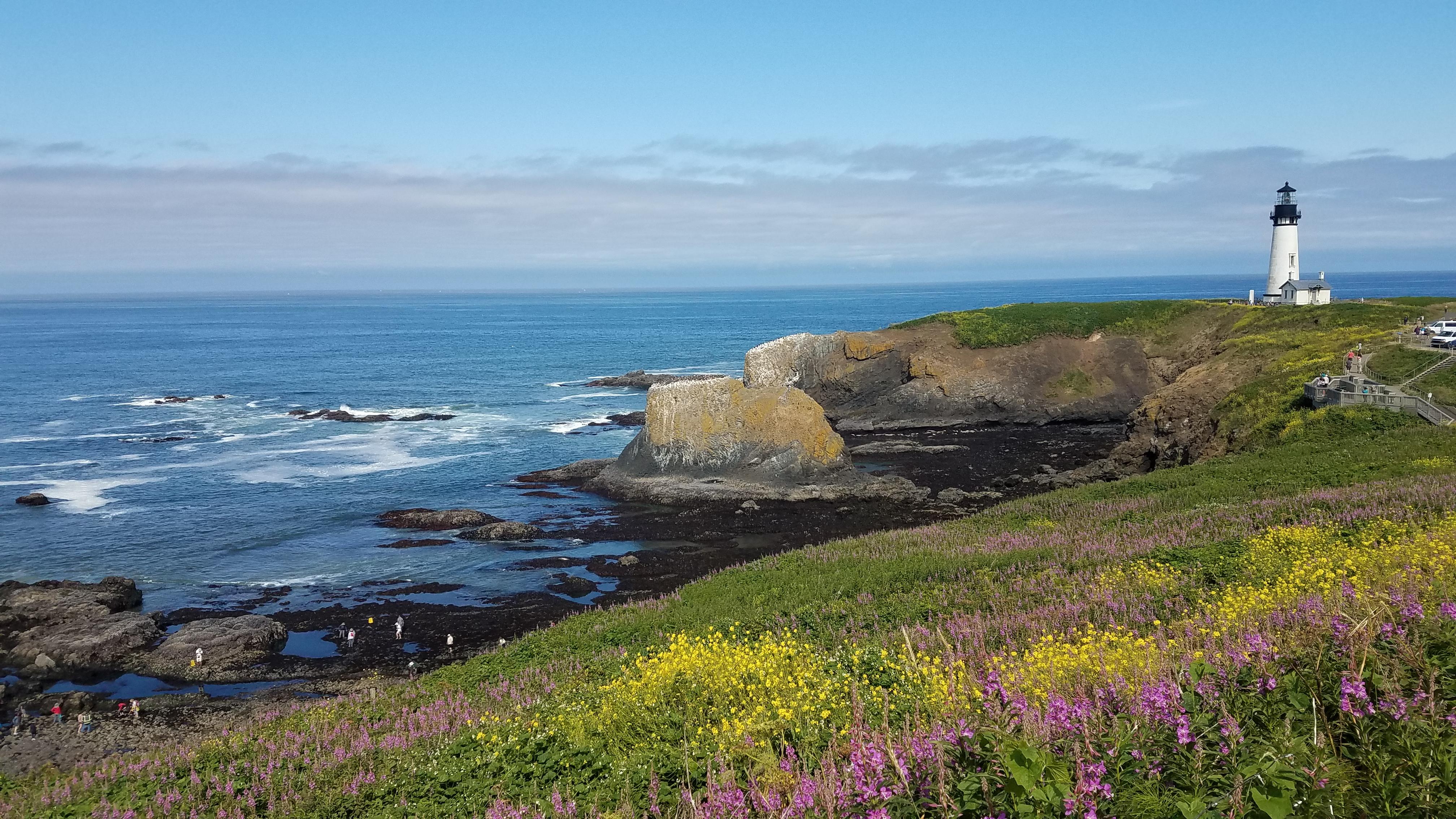 Yaquina Head