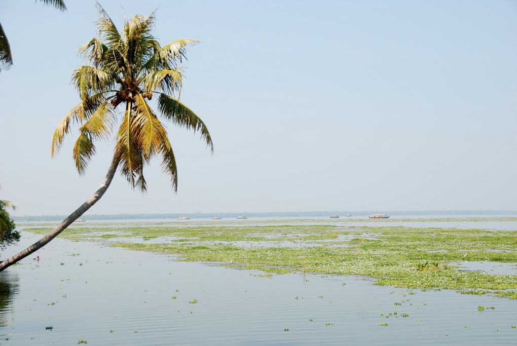Vembanad Lake