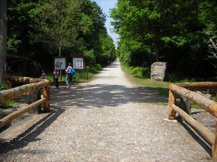 Bosco Fontanas naturreservat