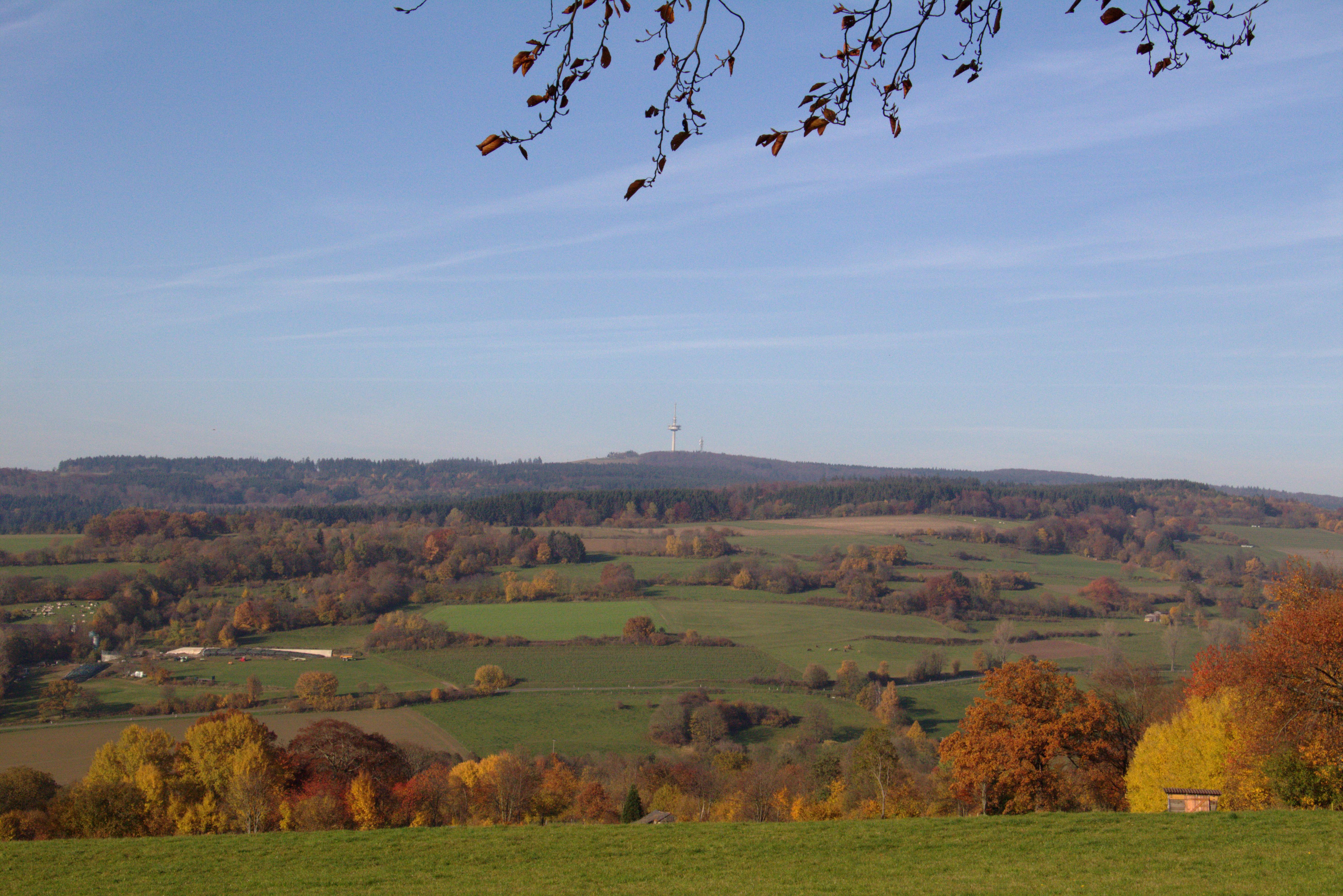 Naturpark Vulkanregion Vogelsberg