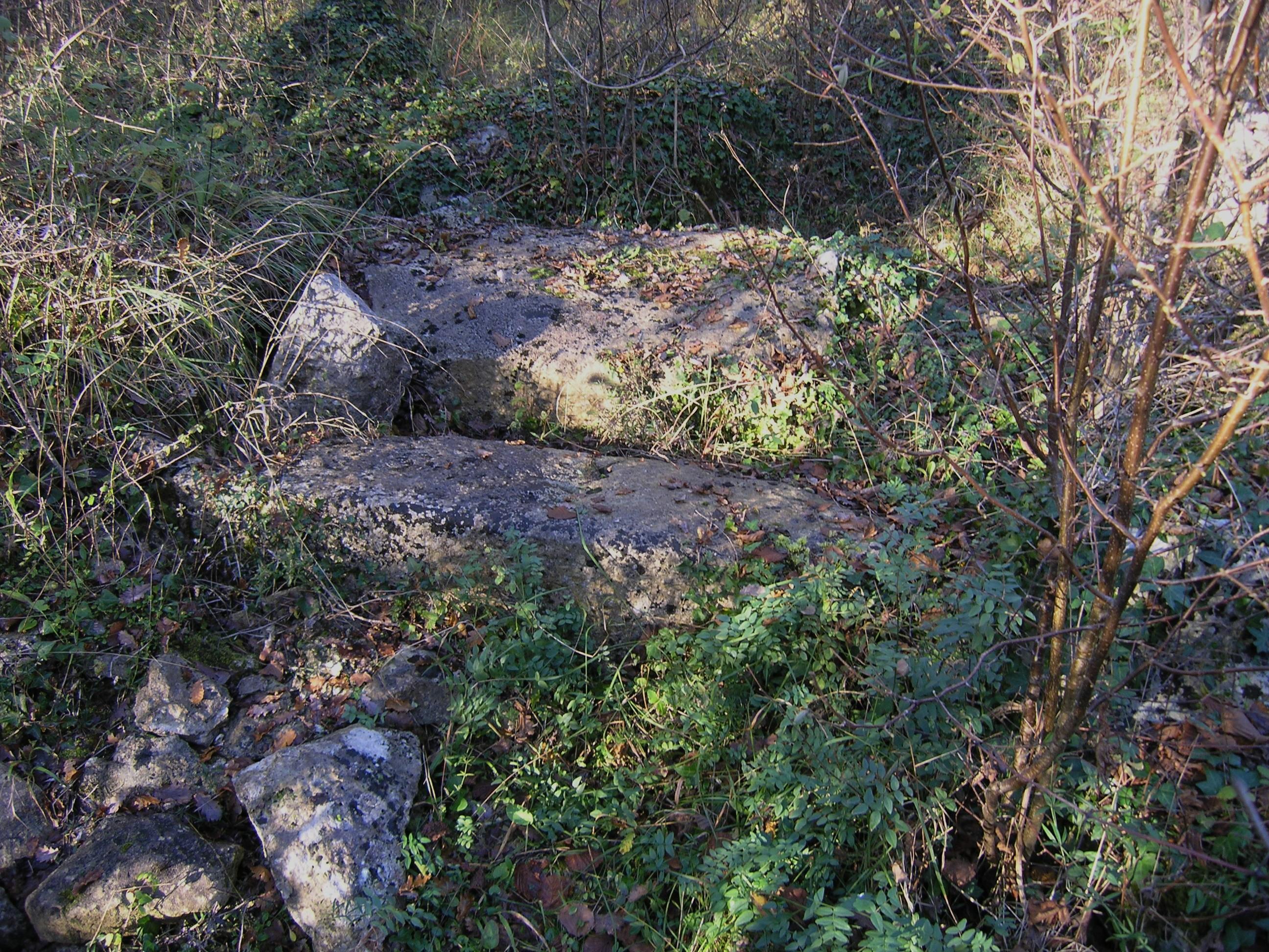 dolmen du Bois de la Grosse Pierre
