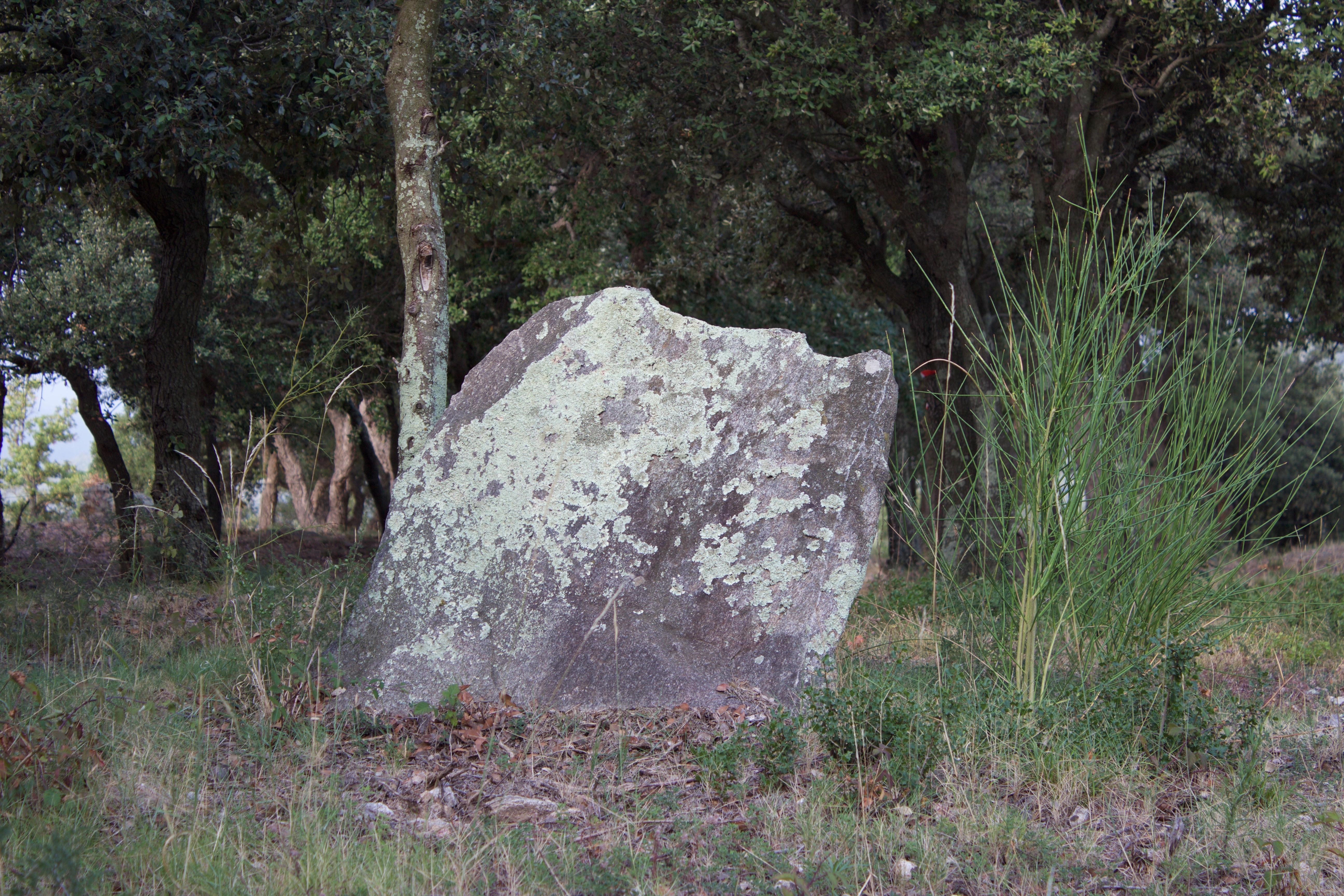 Dolmen de la creu del Senyal