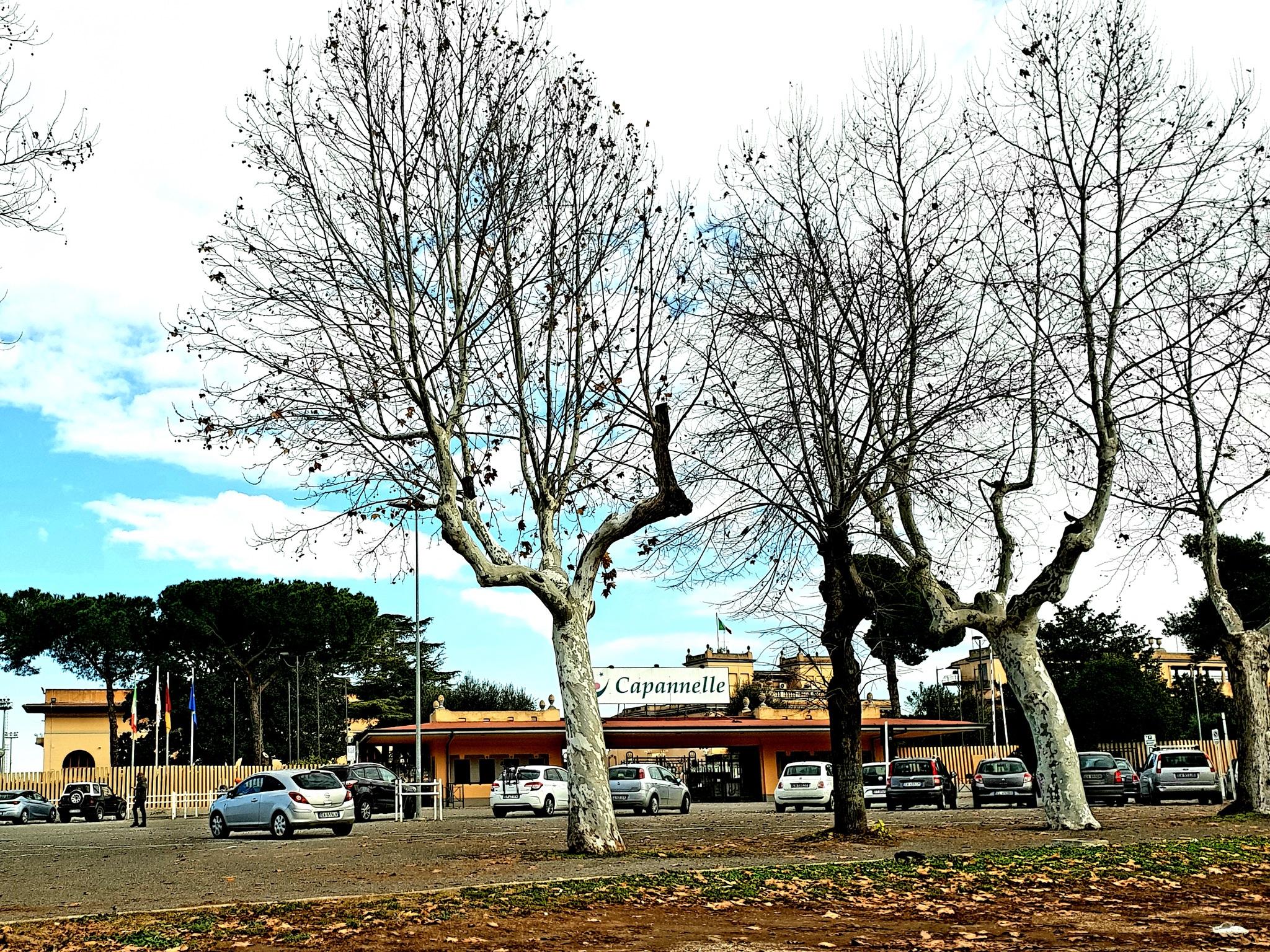 Ippodromo delle Capannelle