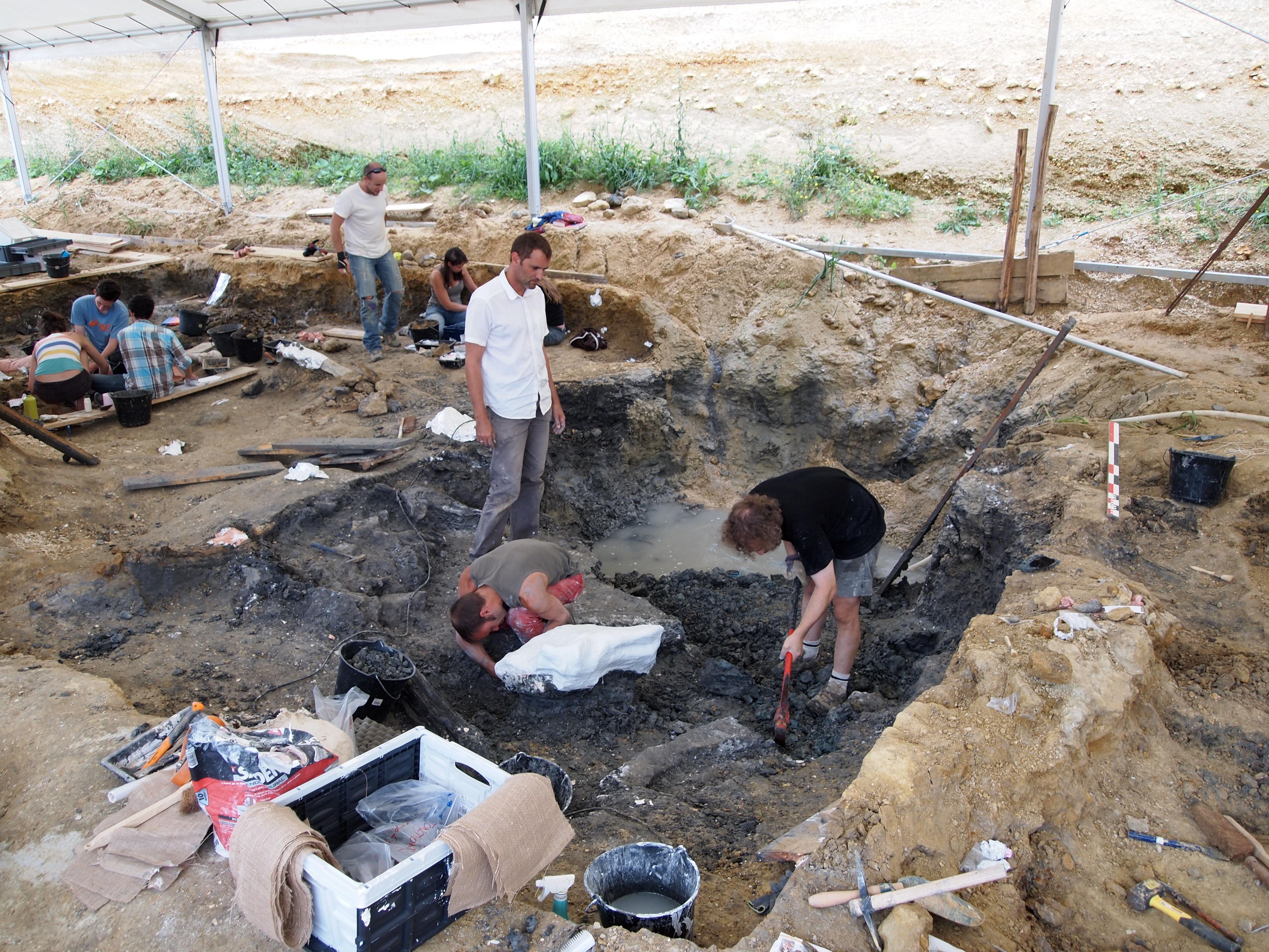 site paléontologique d'Angeac-Charente