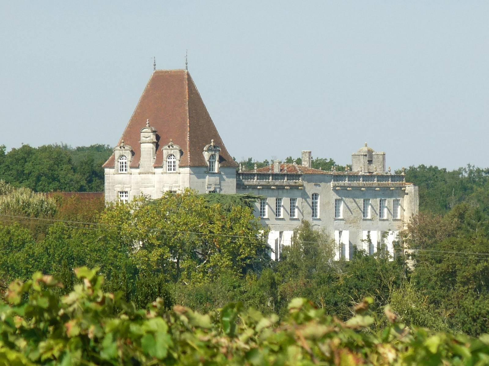 Chateau de Bourg-Charente