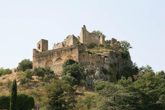 Chateau d'Entrechaux