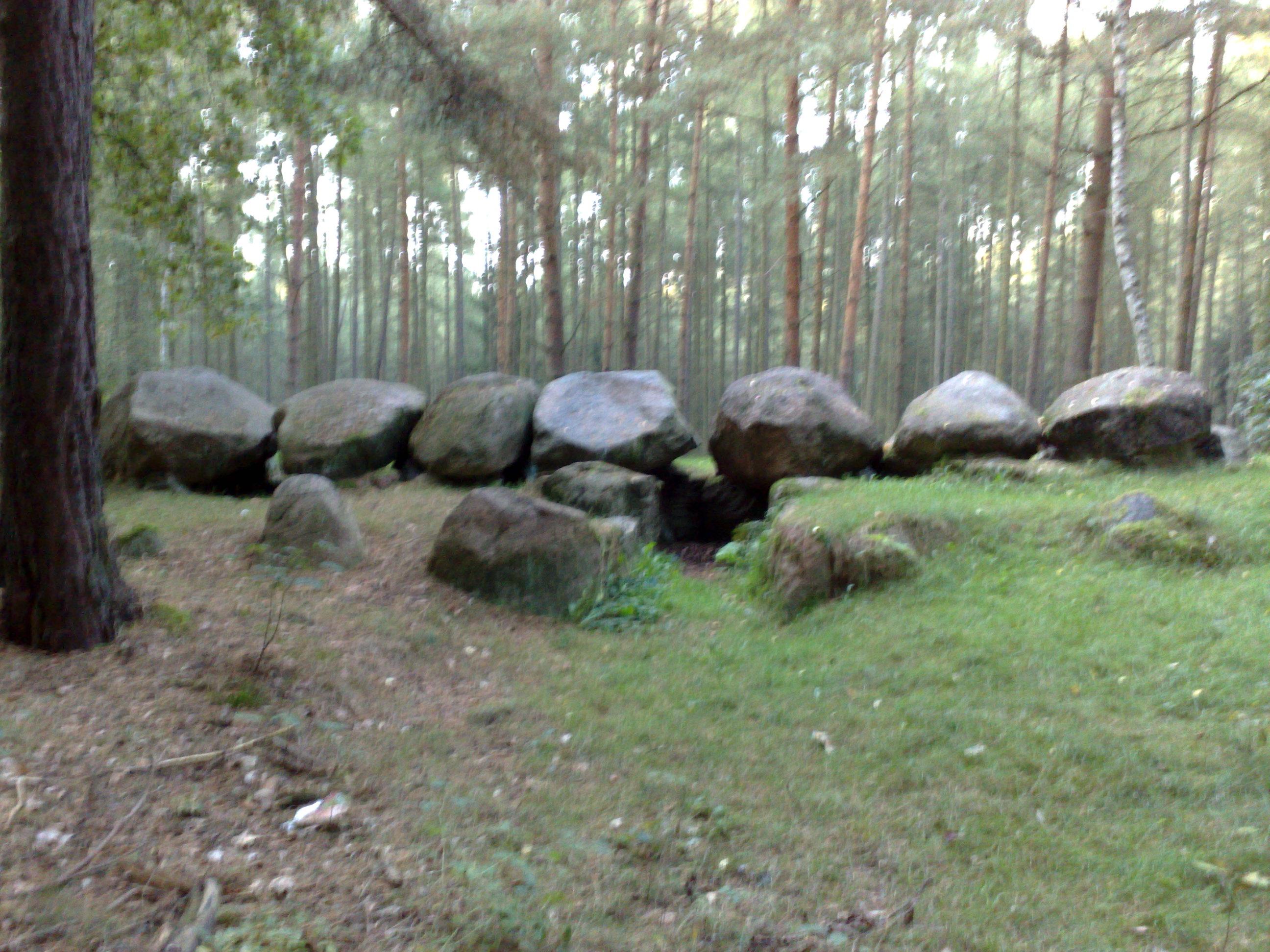 Großsteingräber im Haldensleber Forst