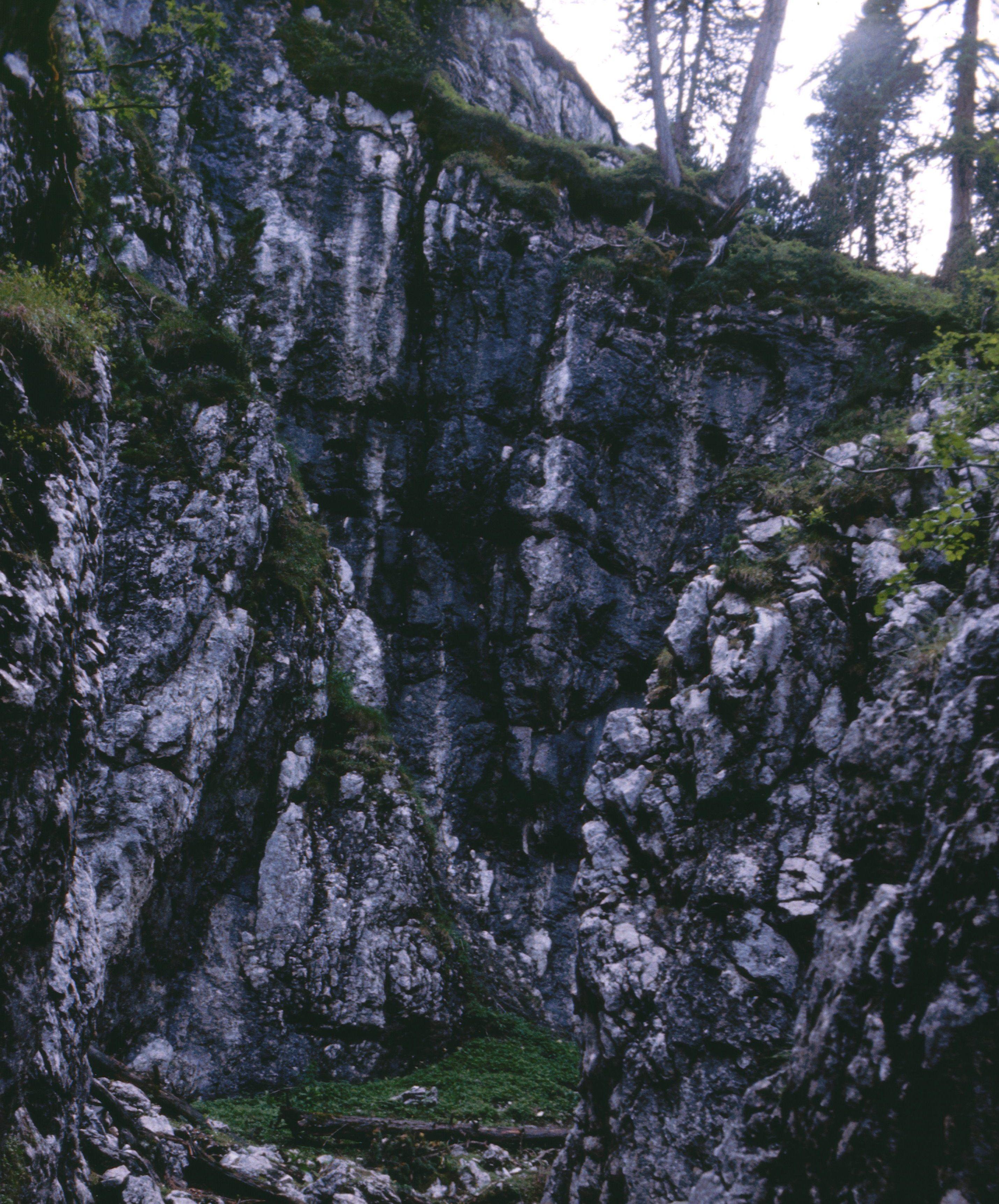 Felsritzbilder in der Notgasse
