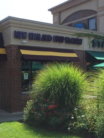 New England Soup Factory