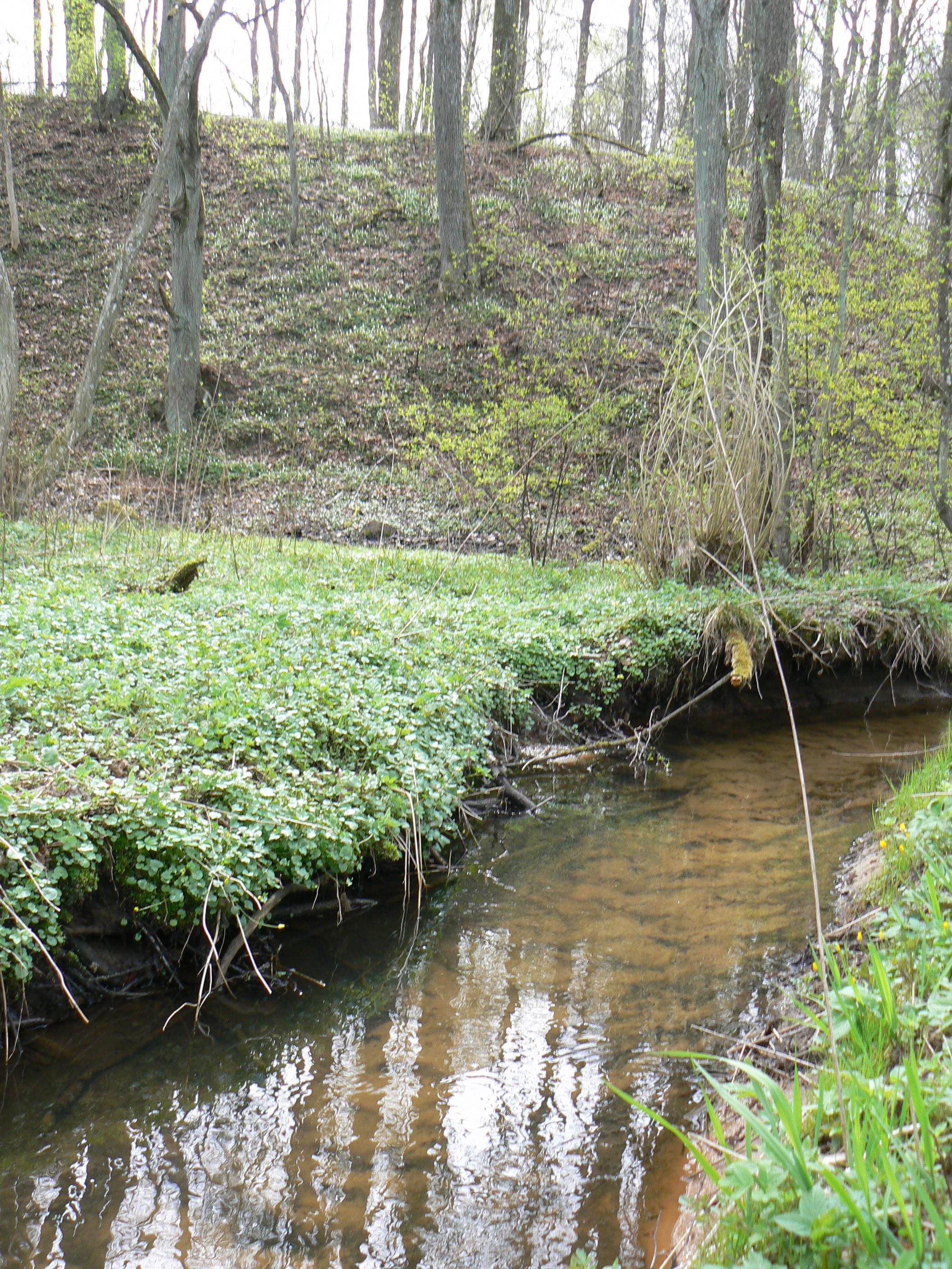 Purmaliu piliakalnis