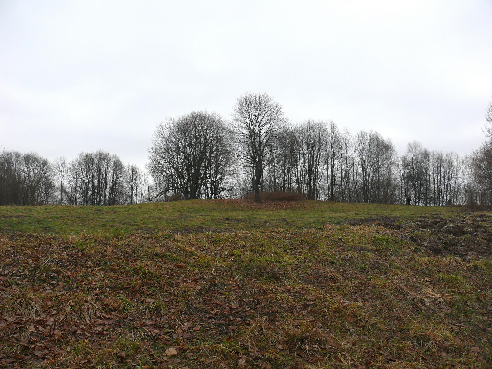 Grodzisko w Brożole