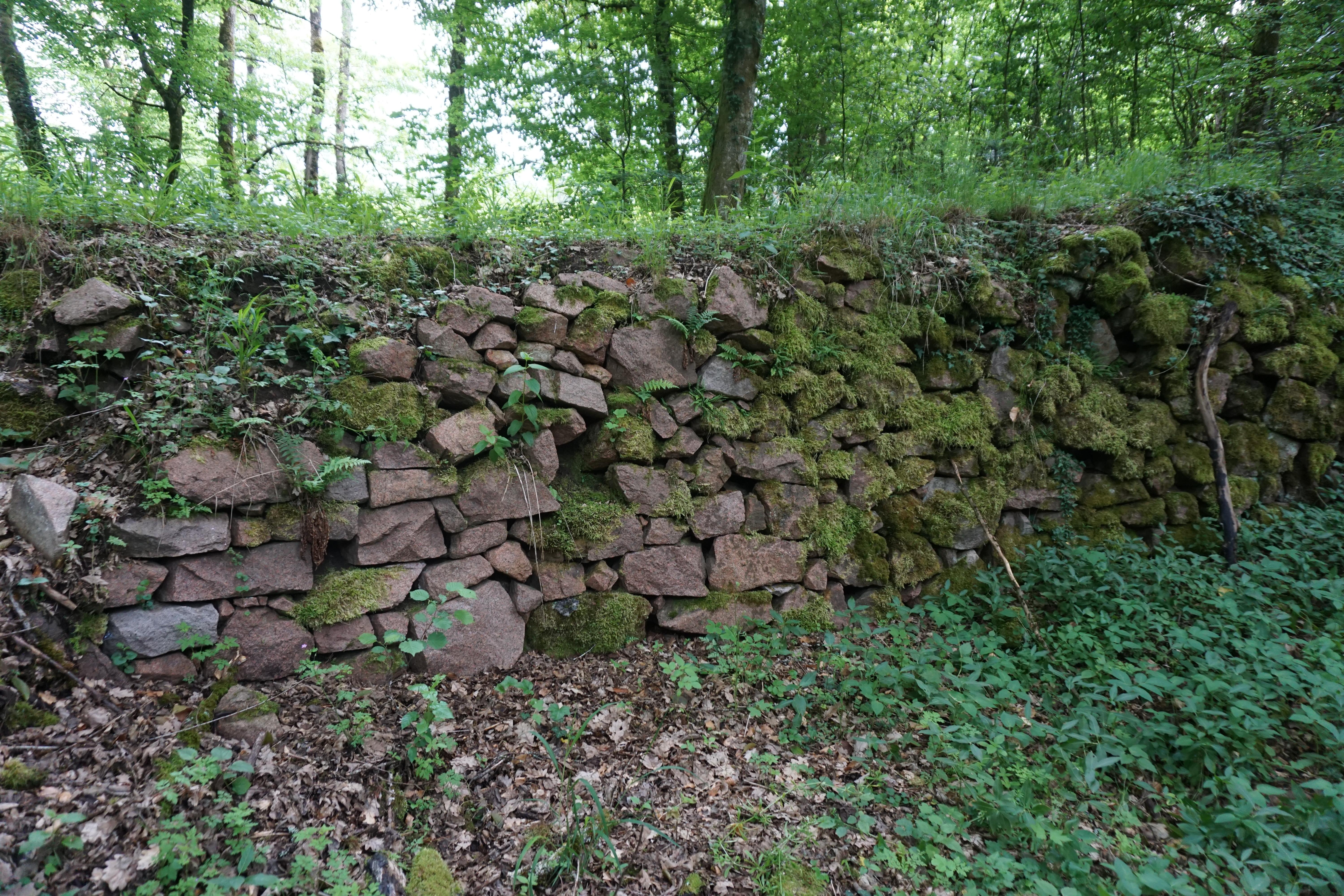 Ruine Neu-Waldeck