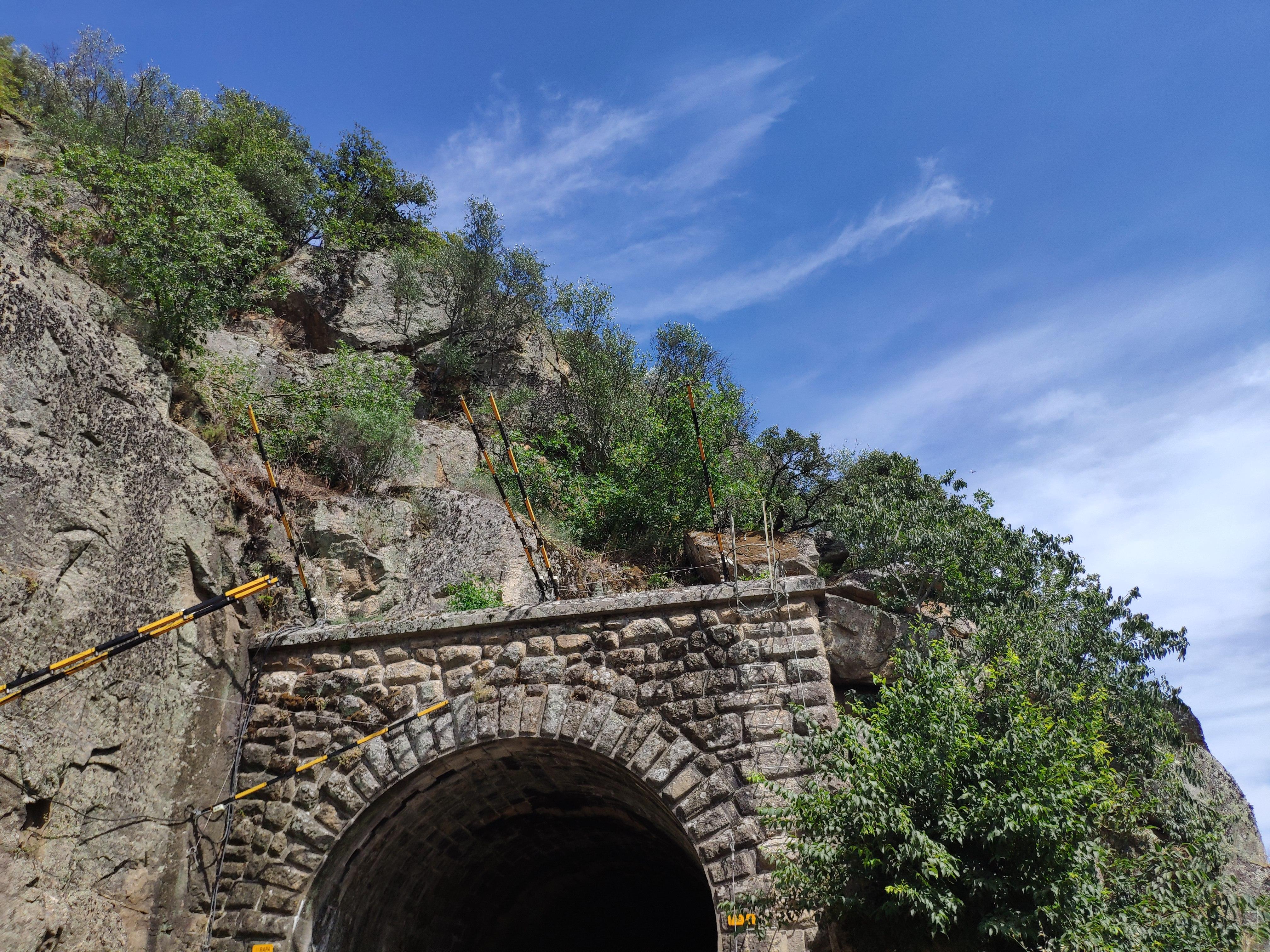 Fraga pintada do Cachao da Rapa