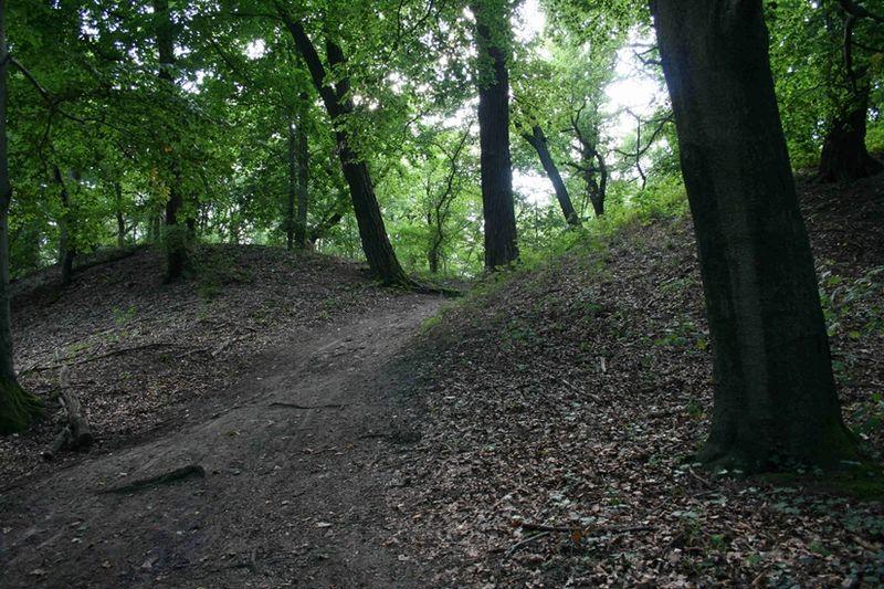 Römerschanze bei Potsdam