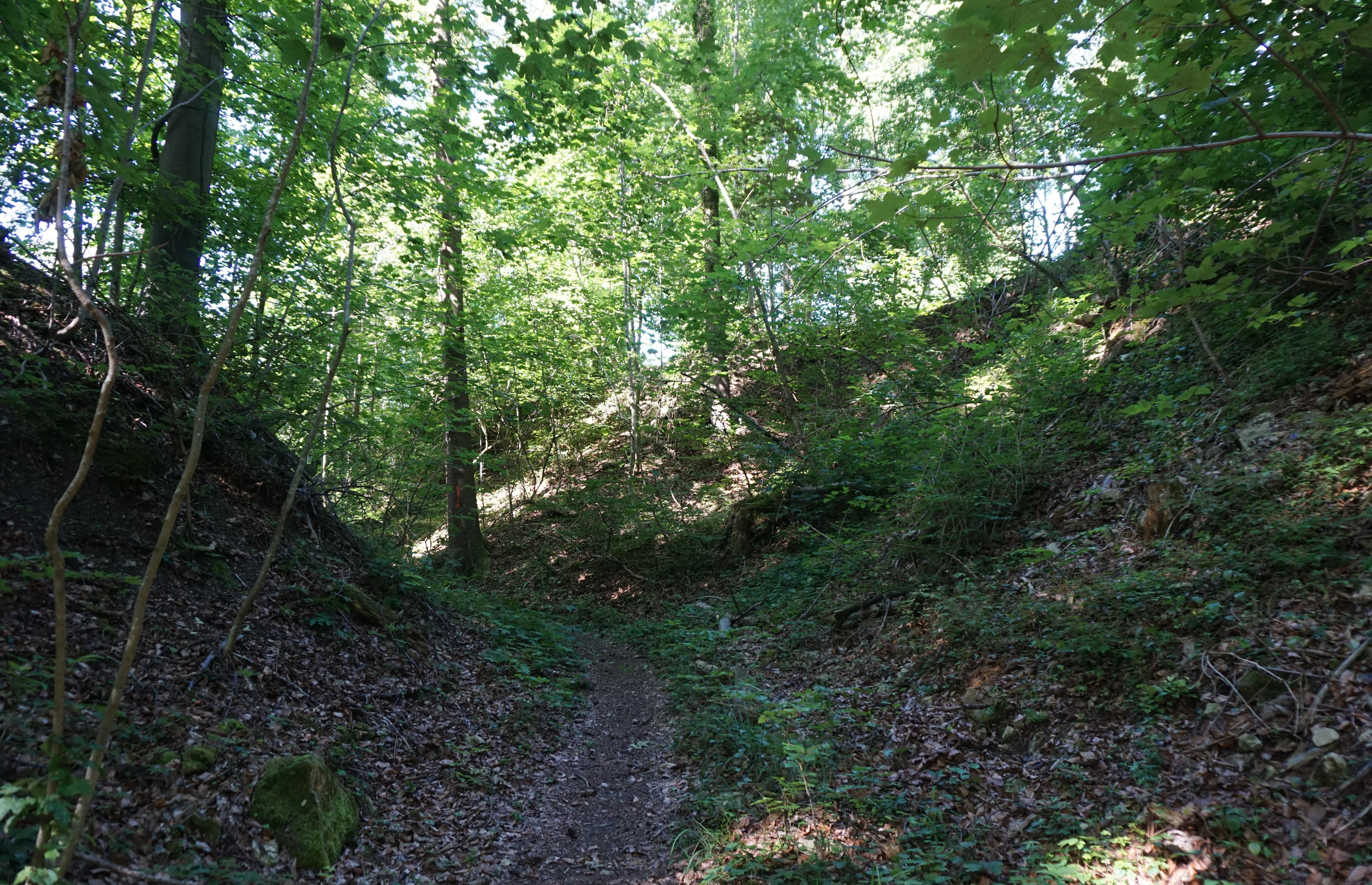 Ruine Hirschenleck