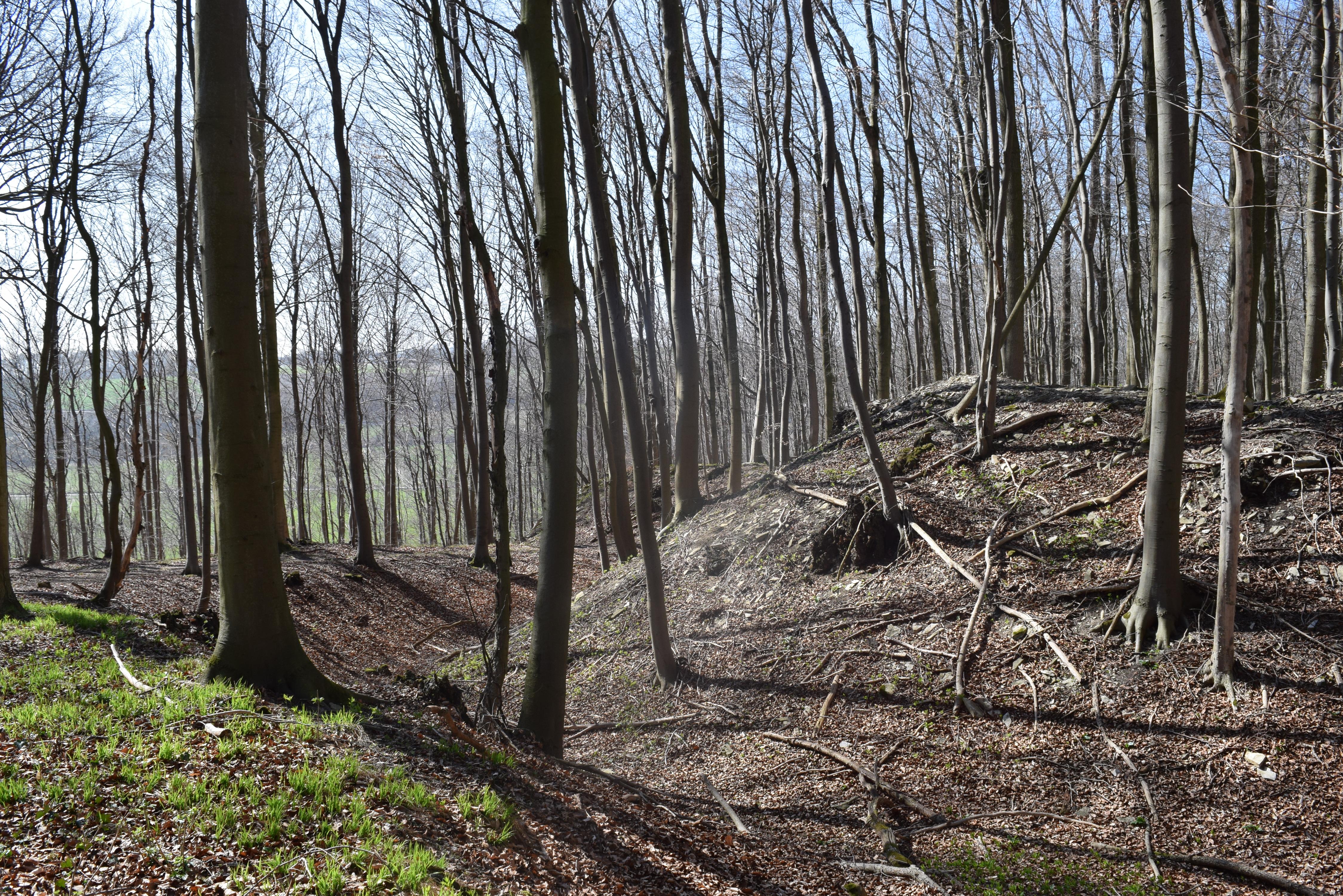 Hünenburg auf dem Hahnenberg