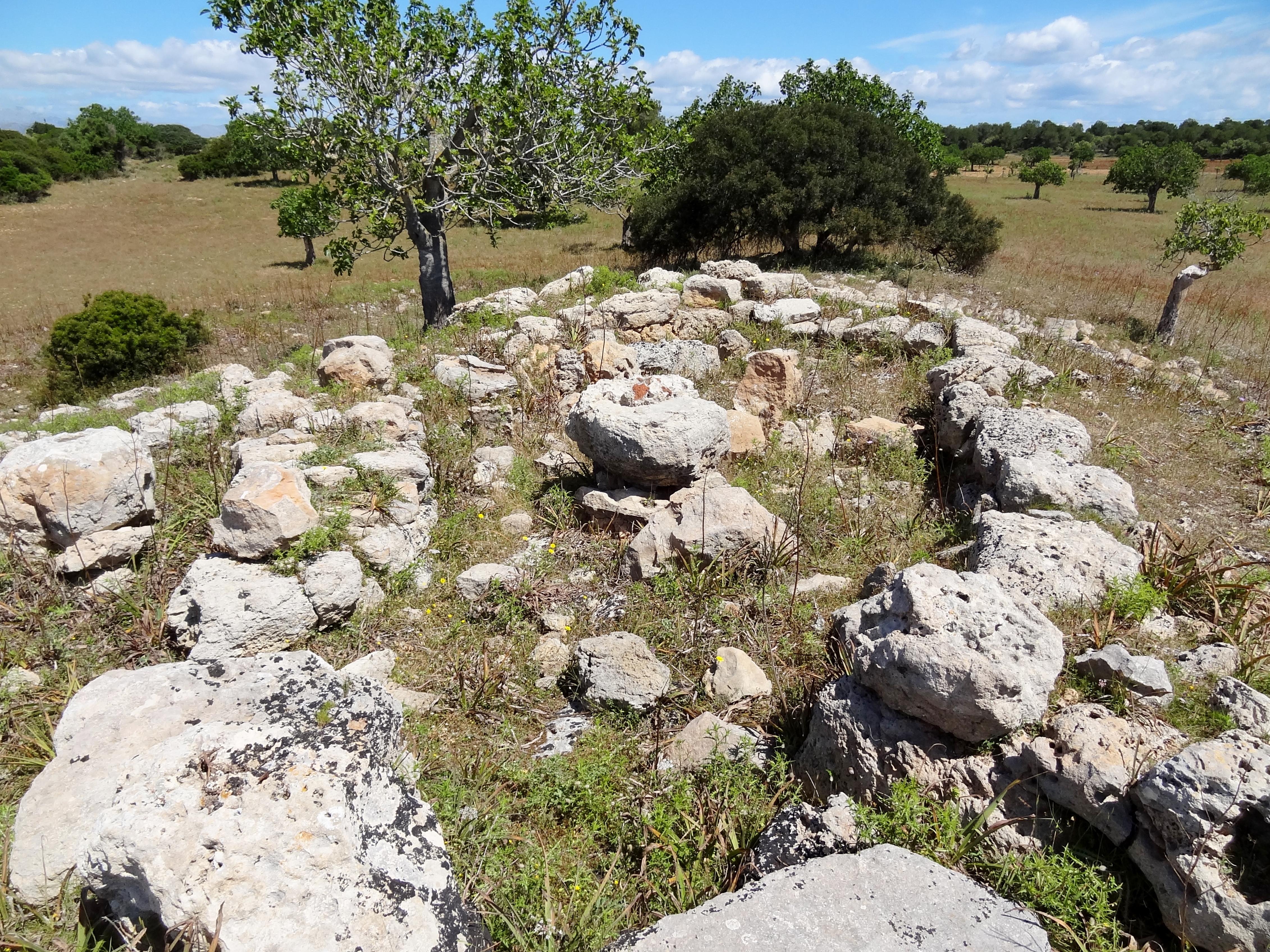 Es Figueral de Son Real