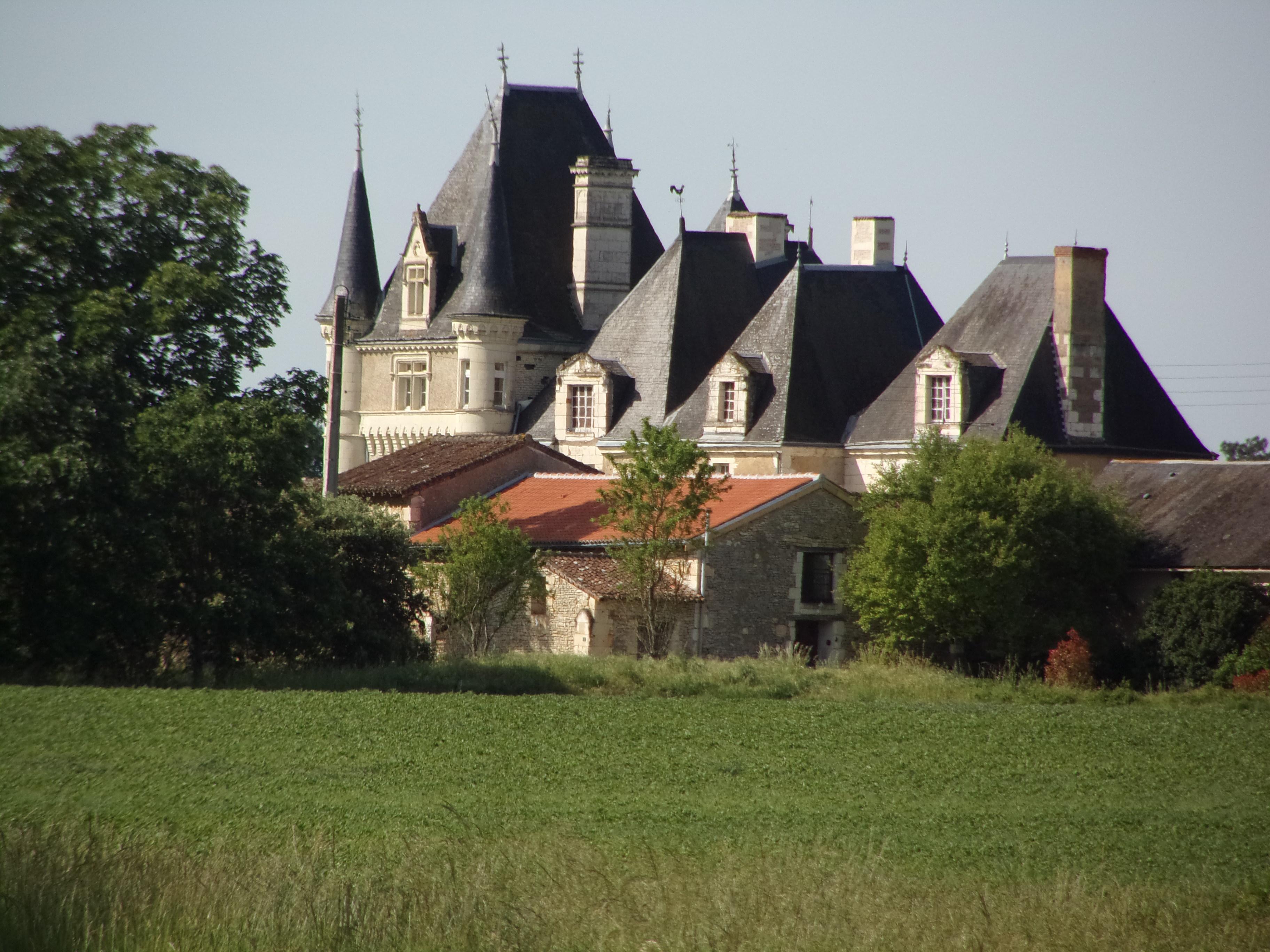 Chateau de la Pataudiere