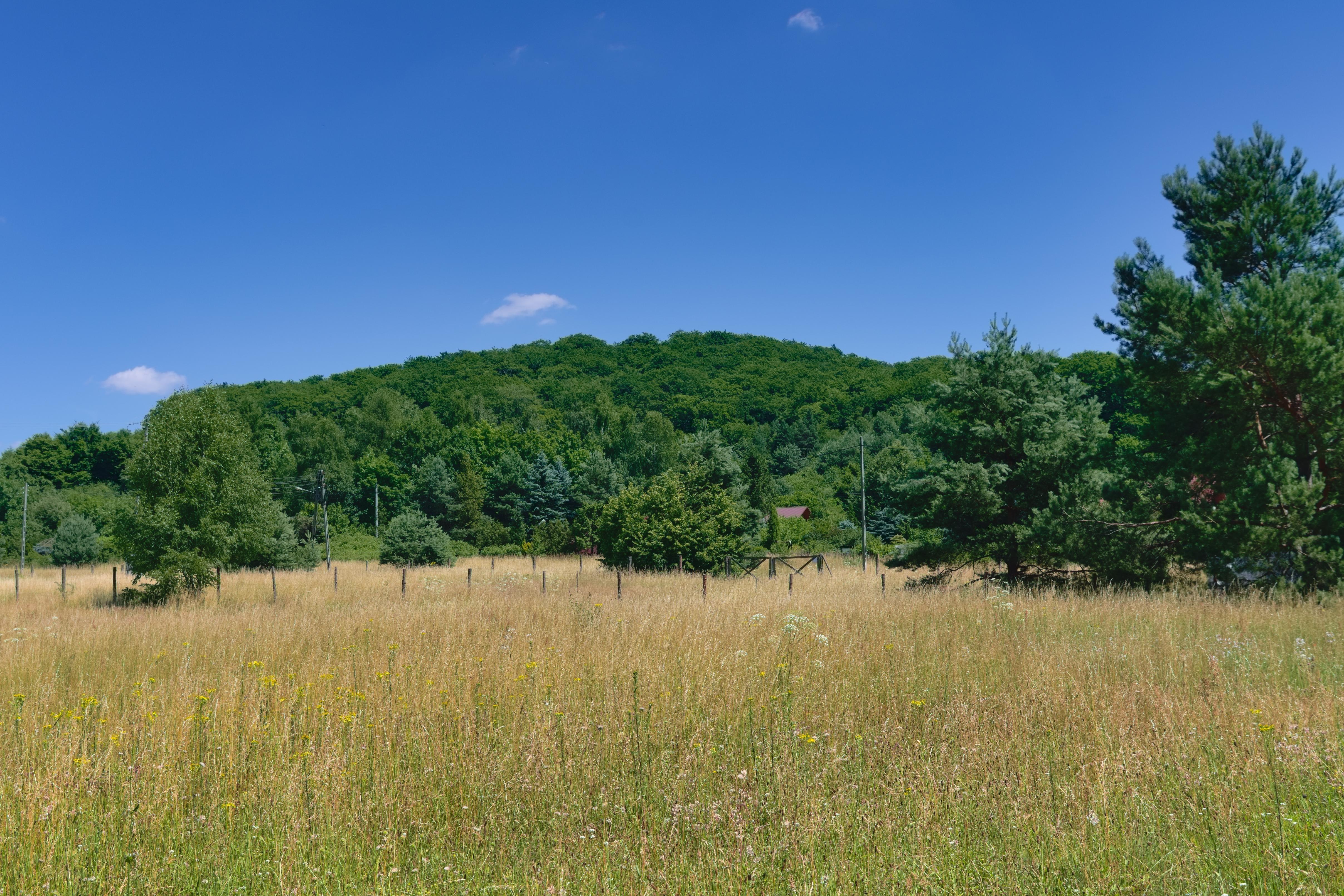 Rezerwat przyrody Góra Chełm