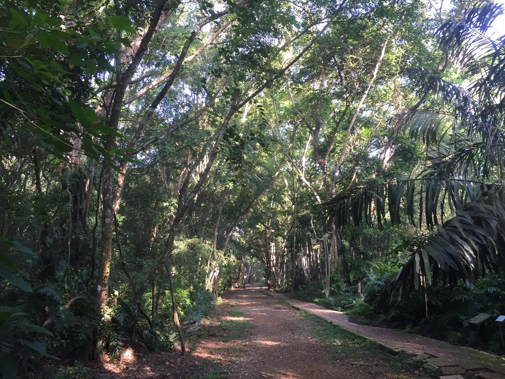 Kuala Selangor Nature Park