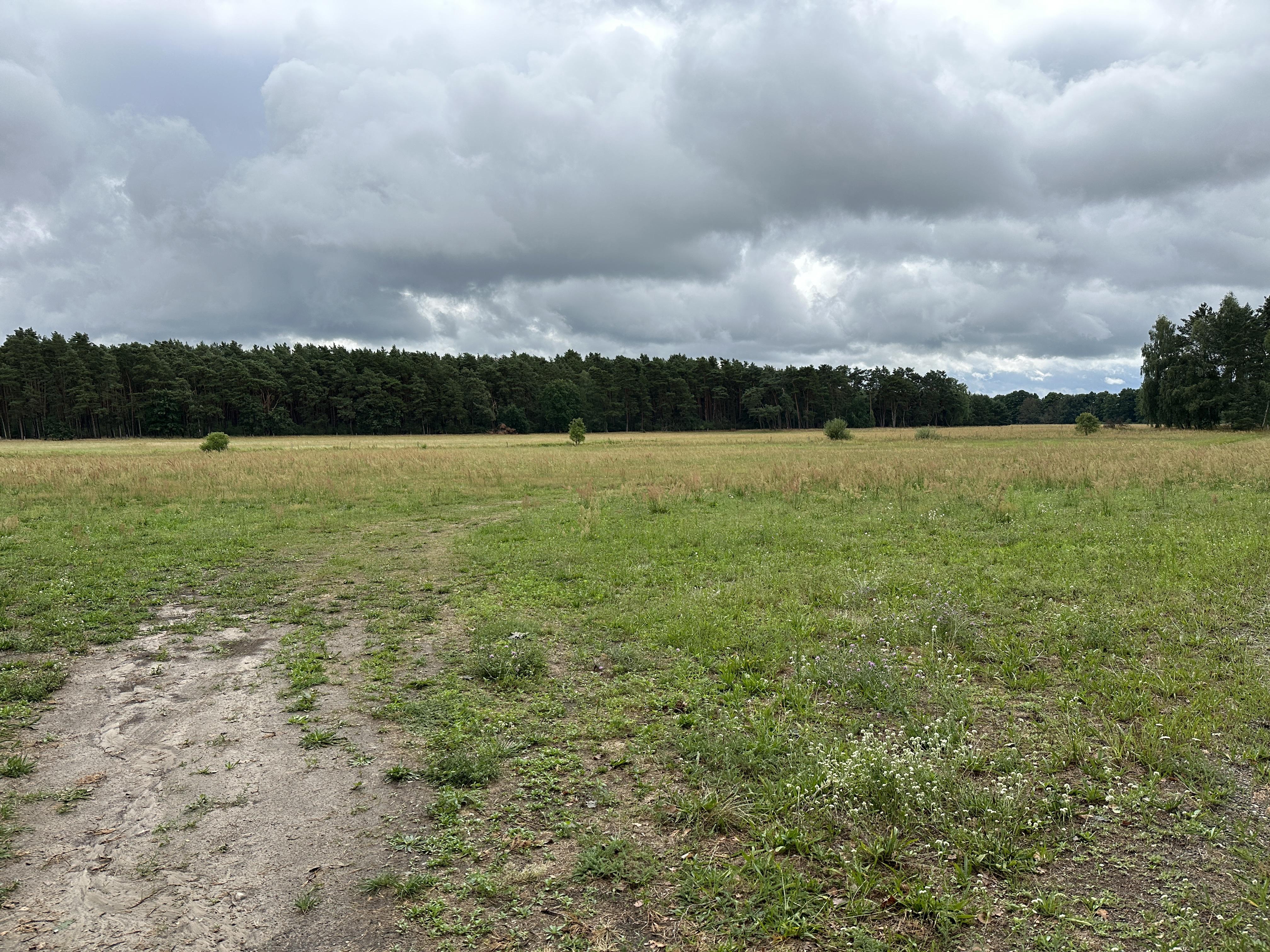 Spreewiesen südlich Beeskow