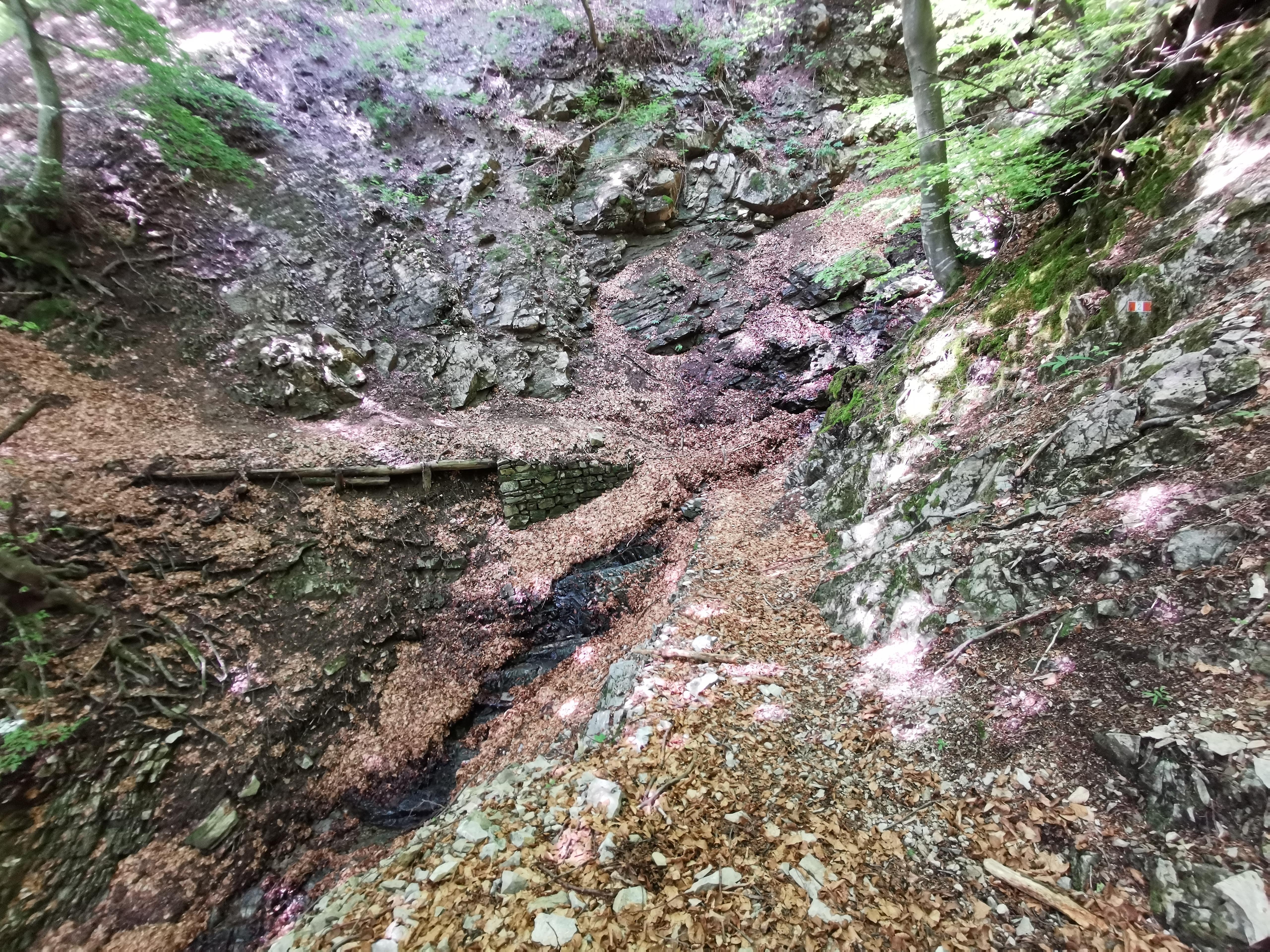 La Via dei Monti Lariani