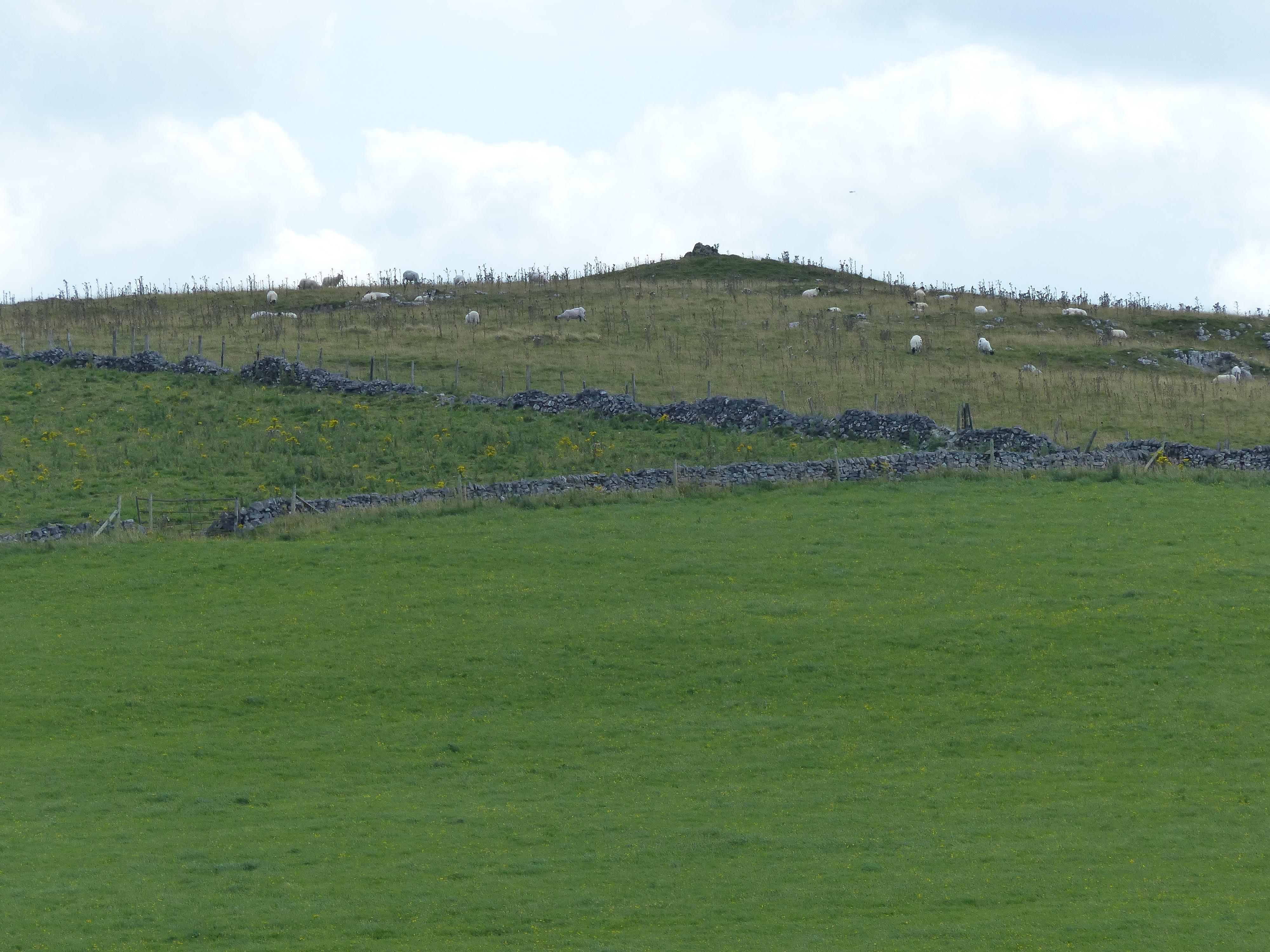 Cronkston Low Bowl Barrow