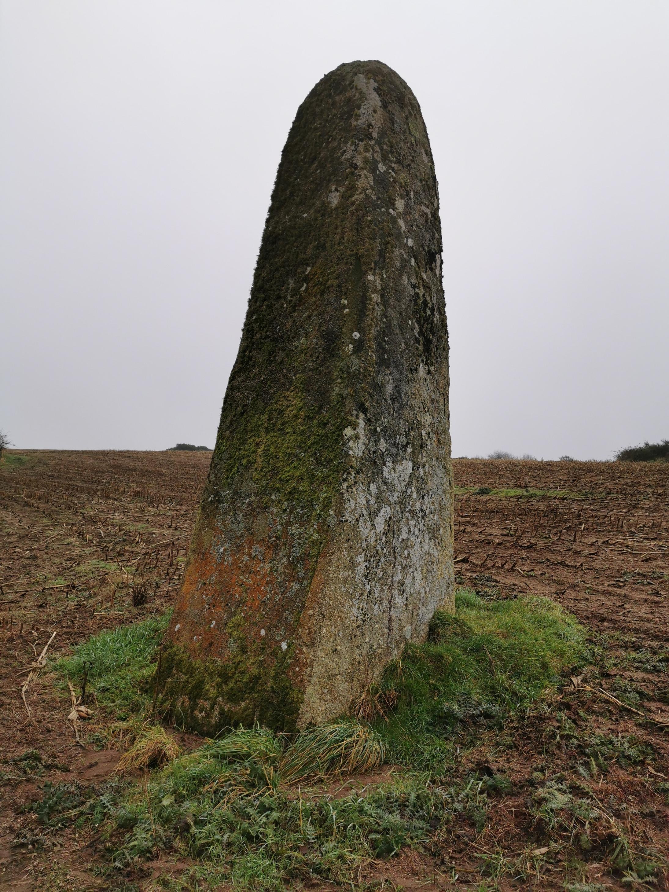 Menhirs de Kerligan
