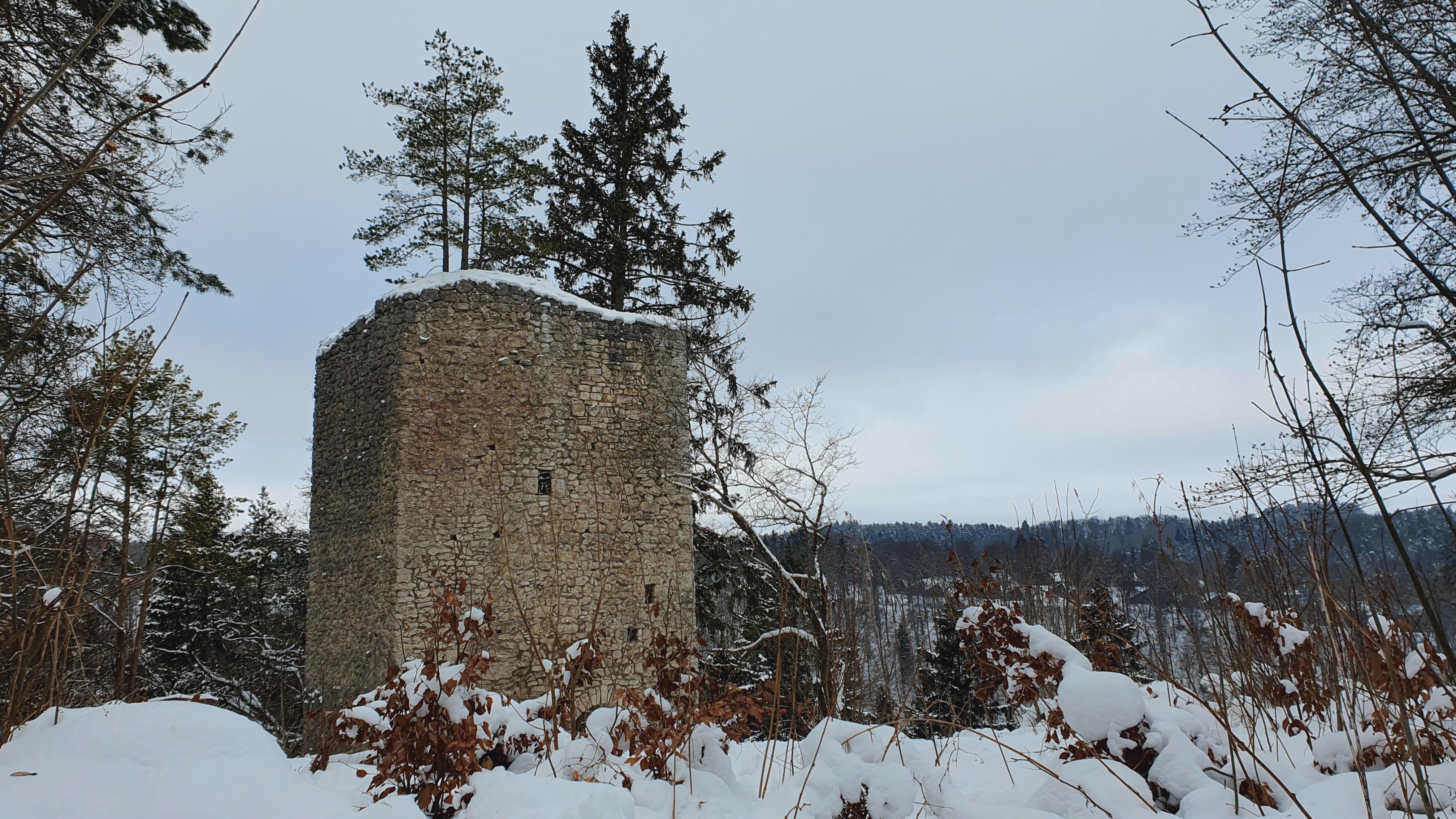 Burg Hohenerpfingen