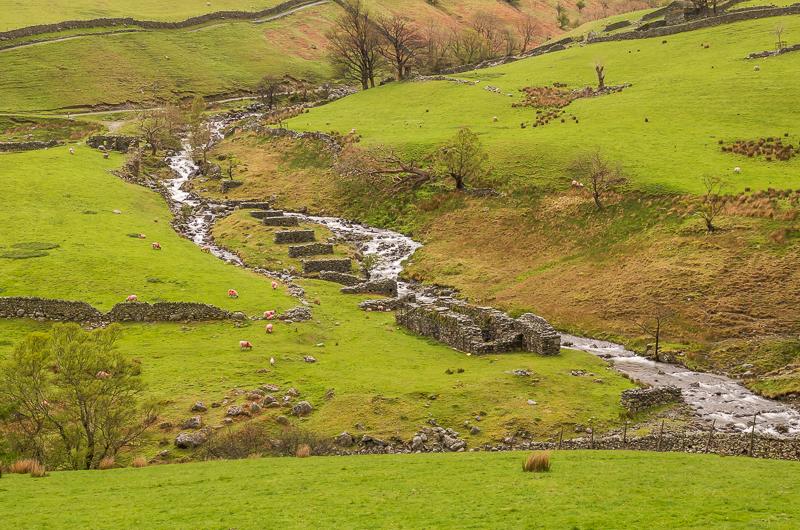 Myers Head Lead Mine