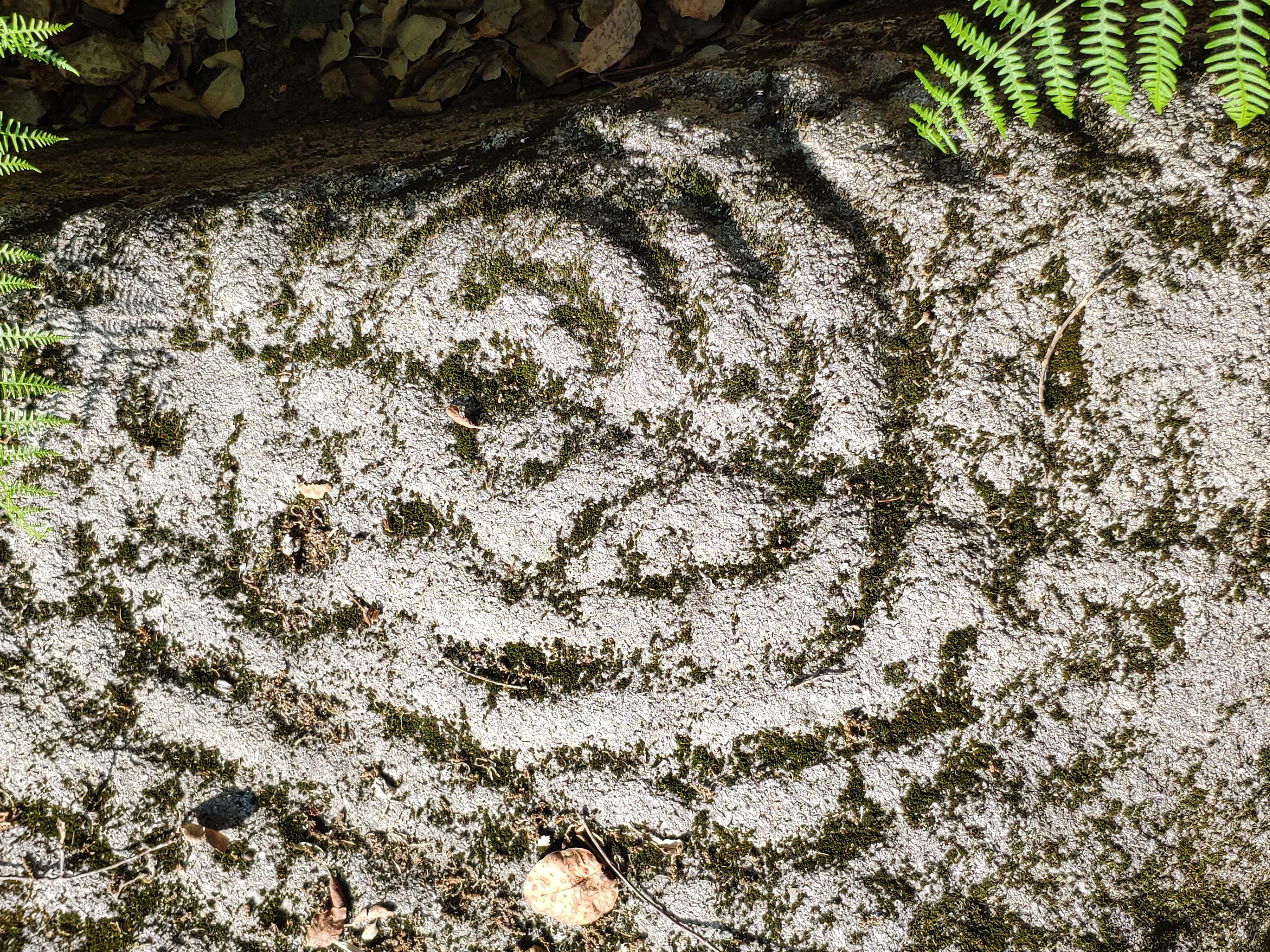 Gravuras Rupestres da Tapada de Ozao
