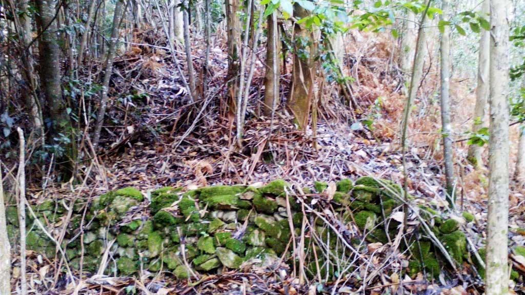 Castro da Croa de Fonta