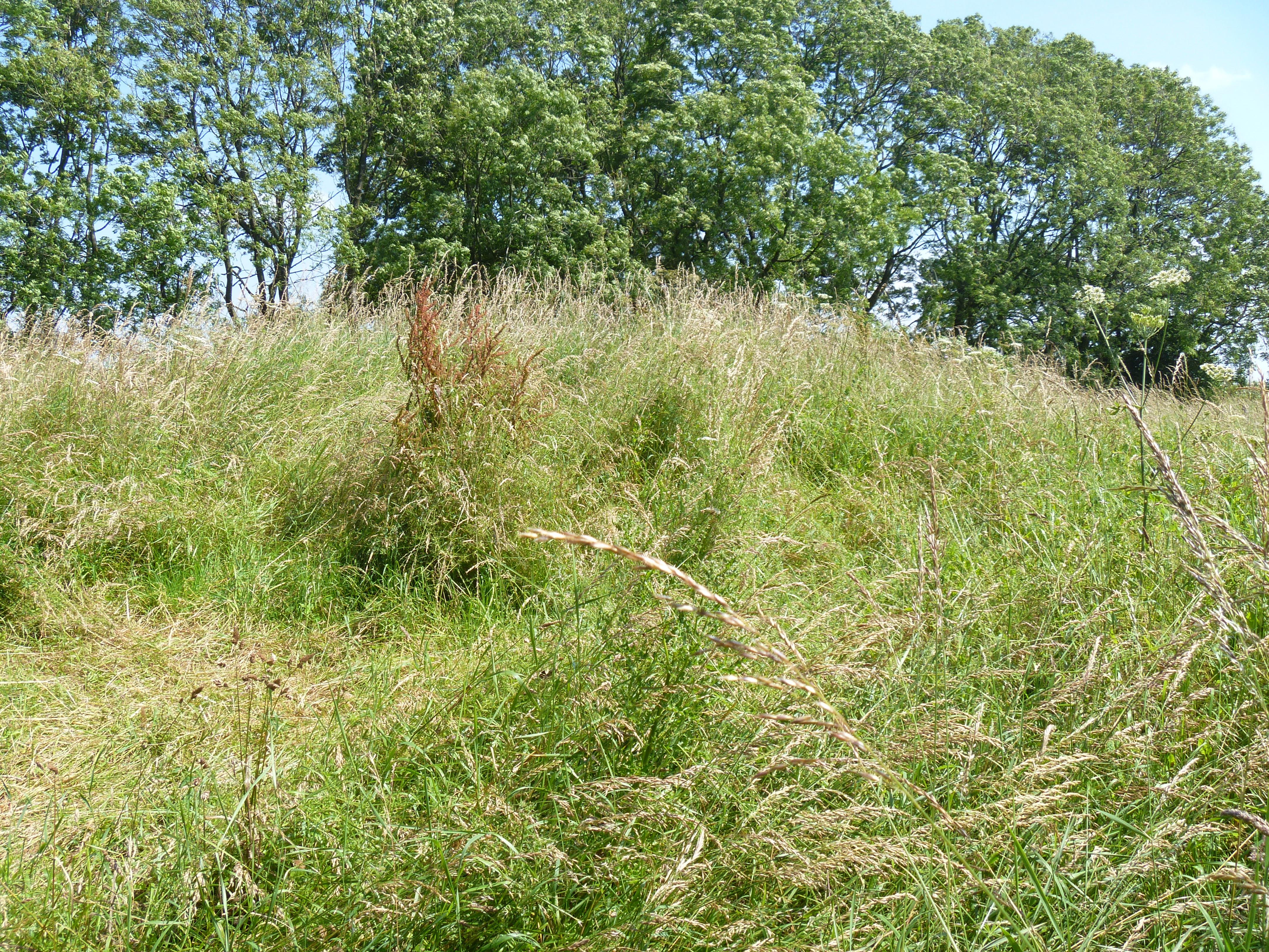 Notgrove Long Barrow