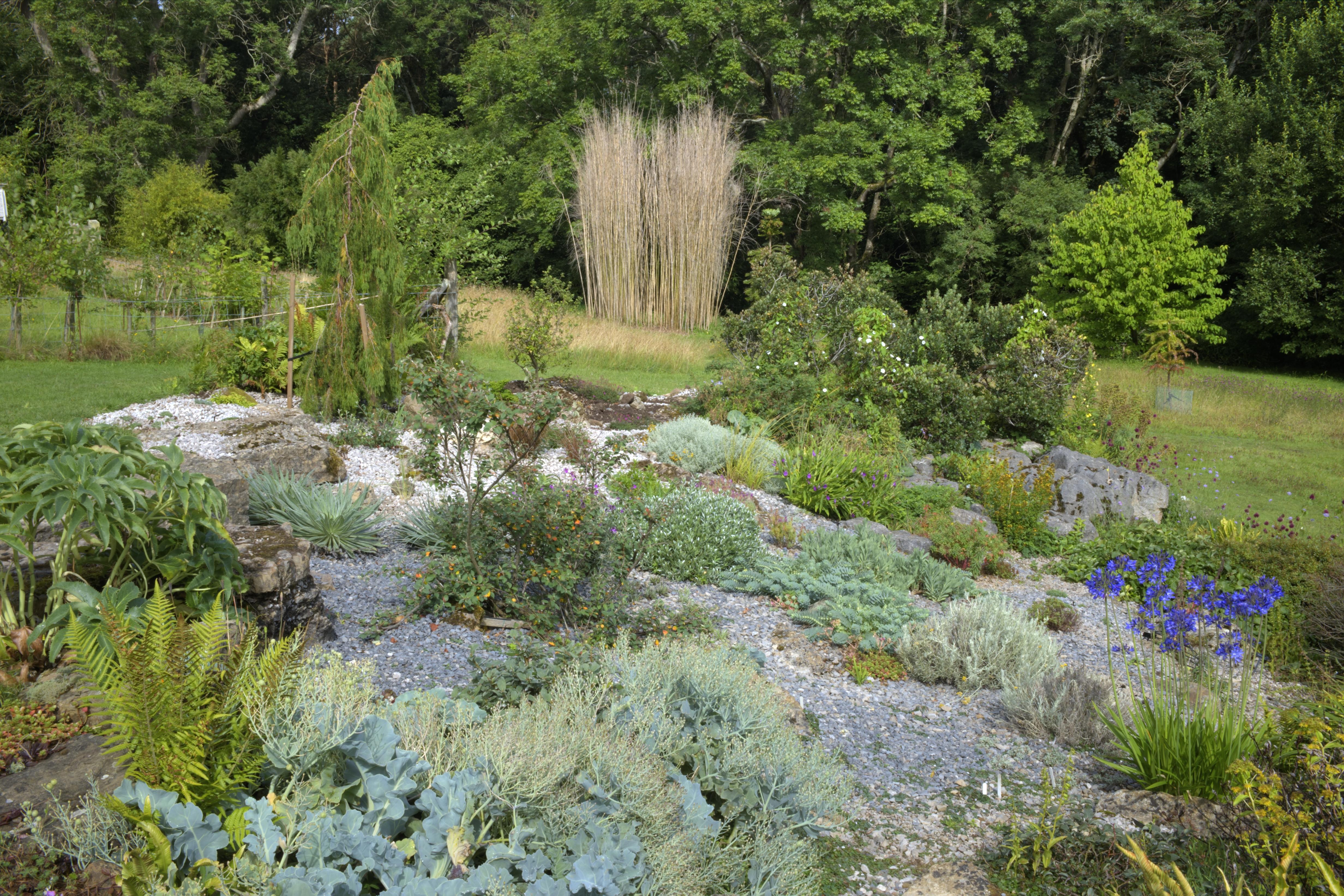 Treborth Botanic Garden