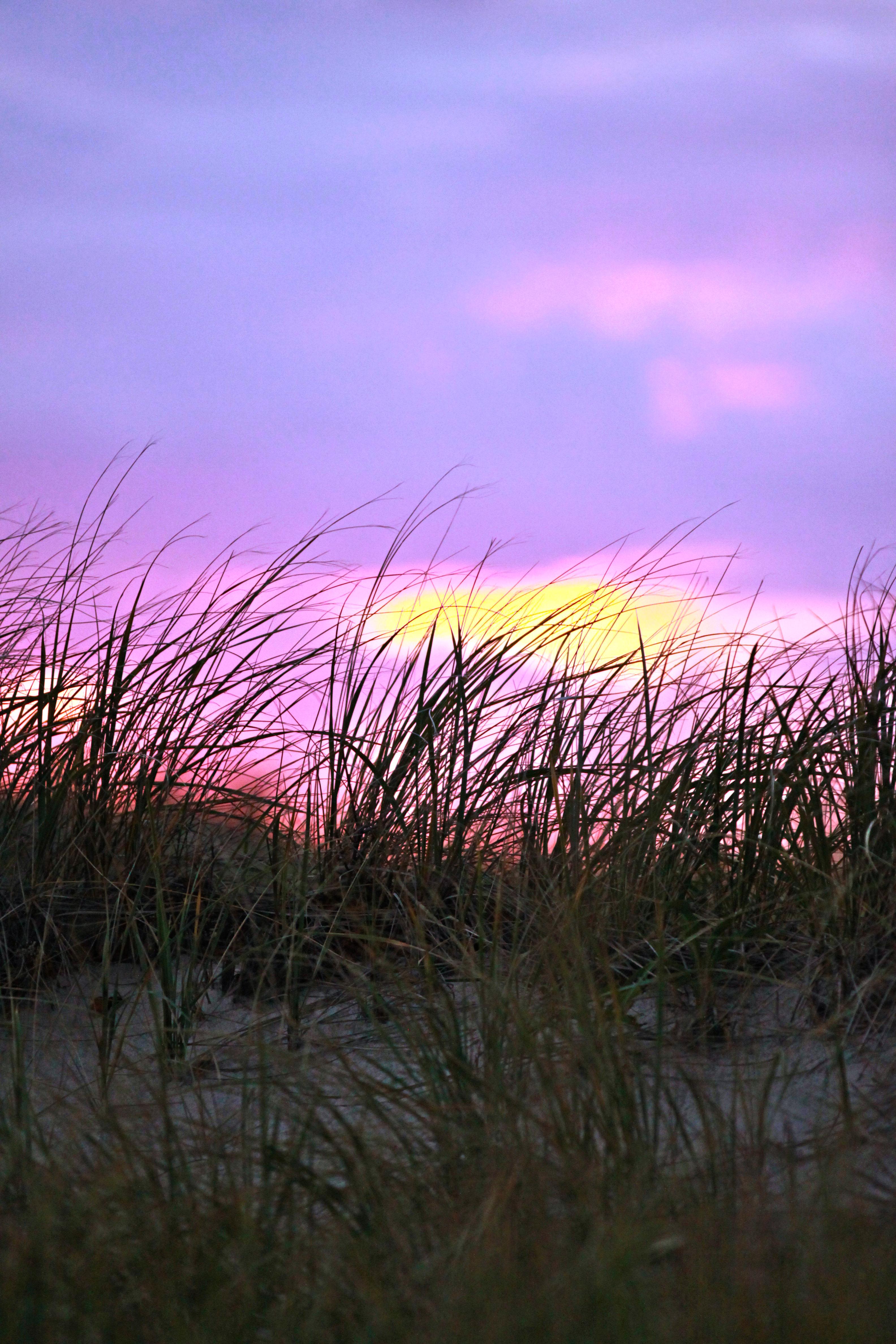 First Encounter Beach