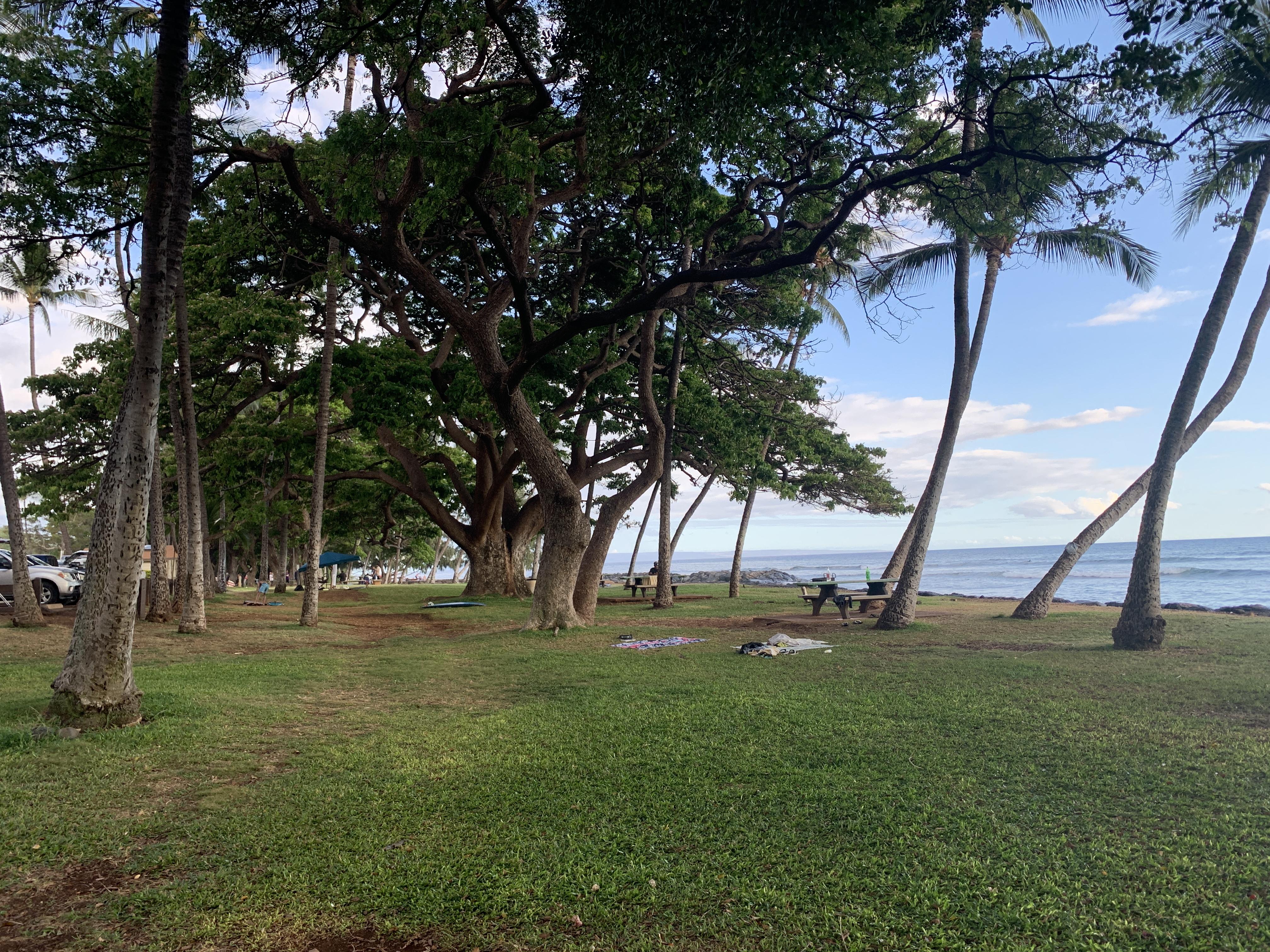 Launiupoko Beach Park