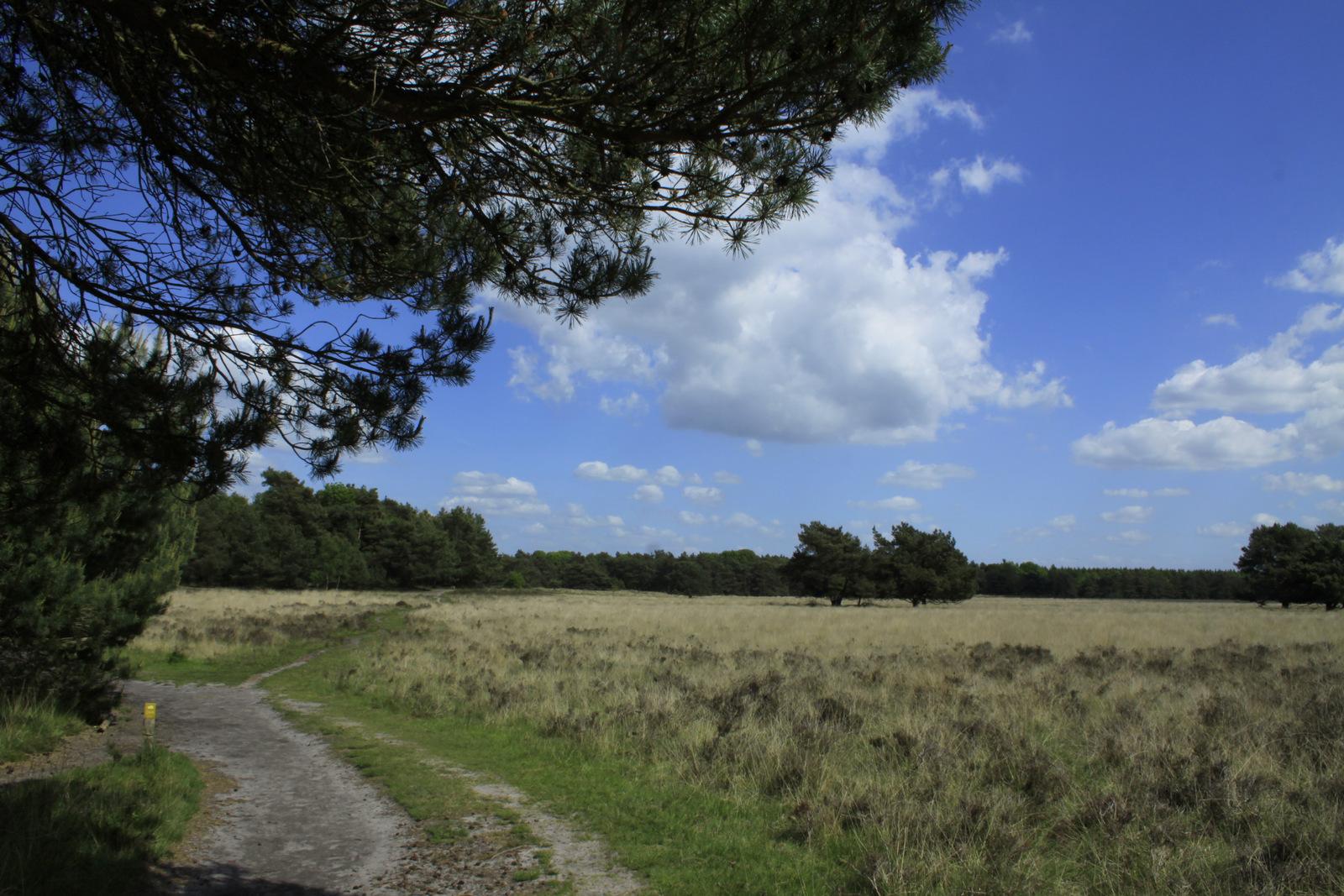 Boswachterij Leersum