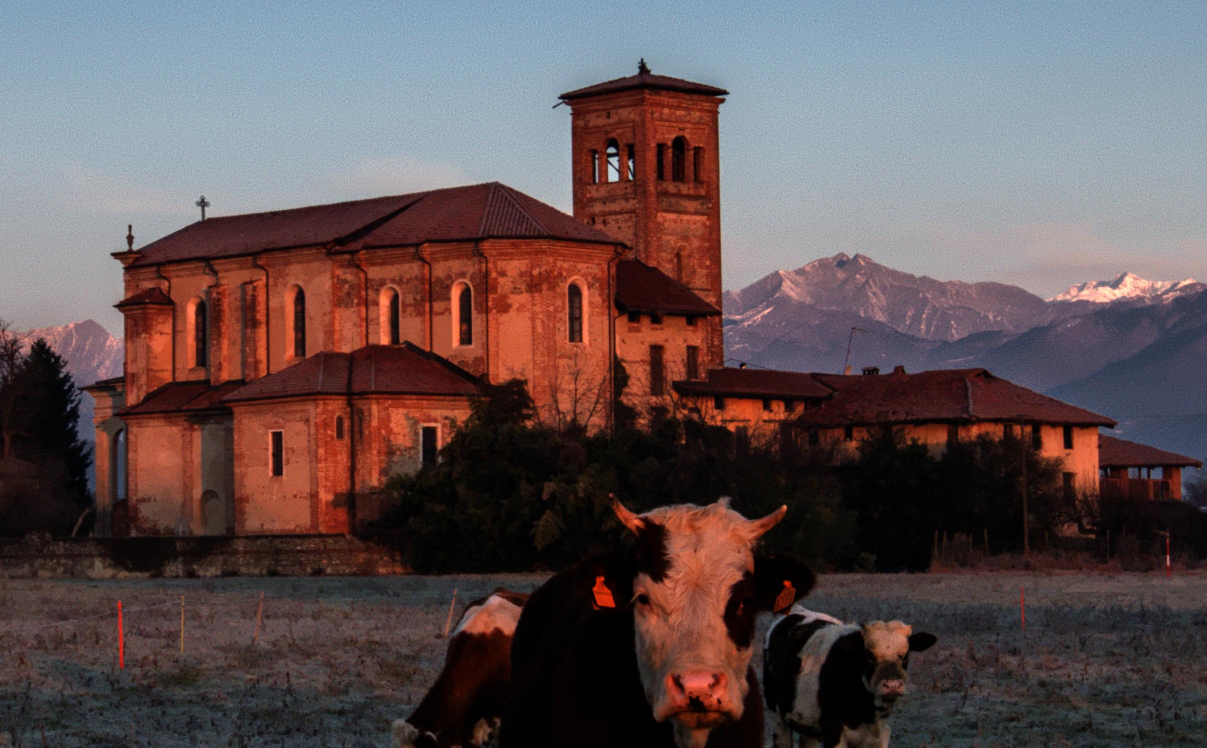 Chiesa parrocchiale di San Vincenzo Diacono