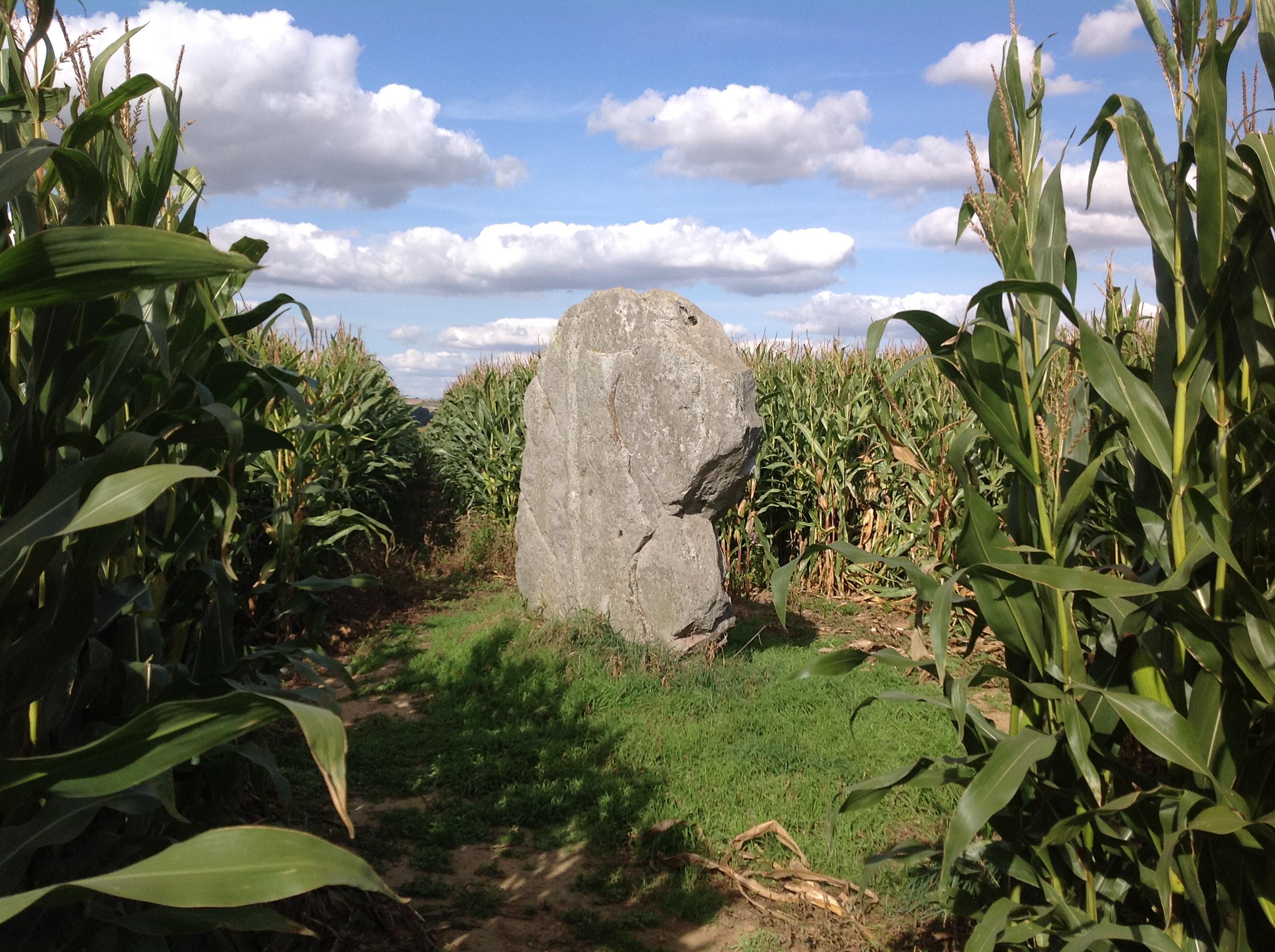 Menhir dit la Pierre d'Oblicamp